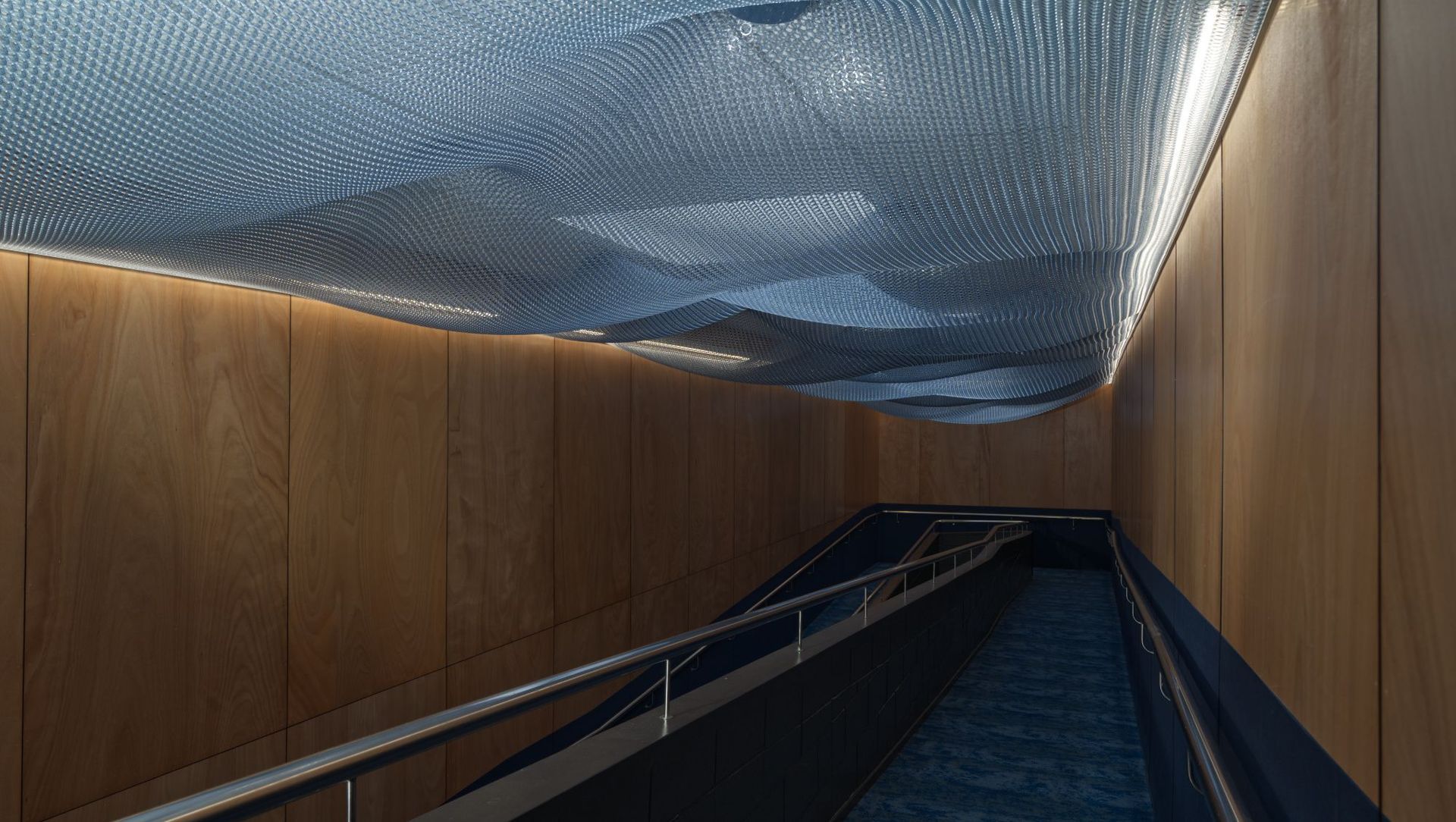 Netball North Harbour banner