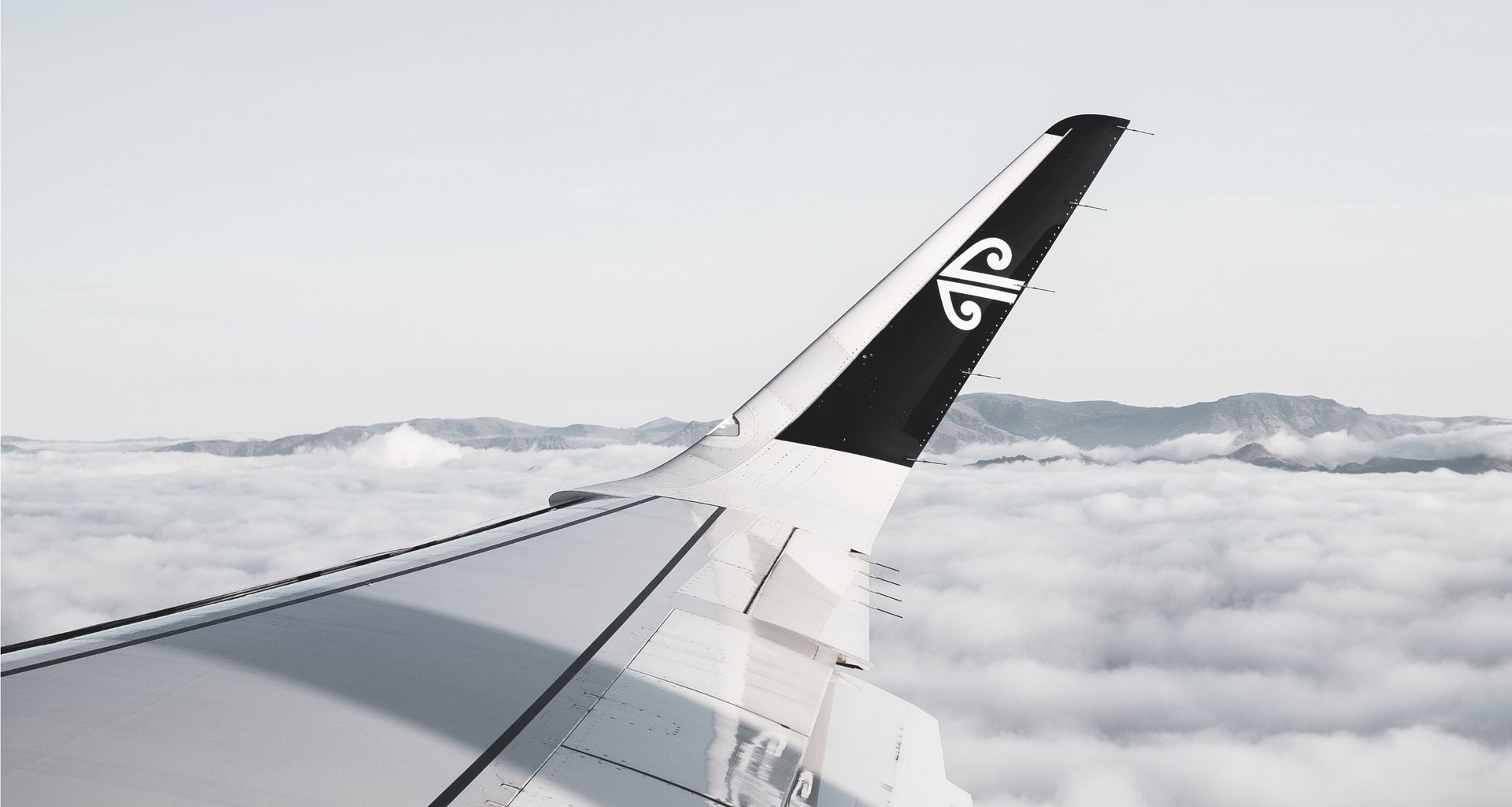 Air New Zealand banner