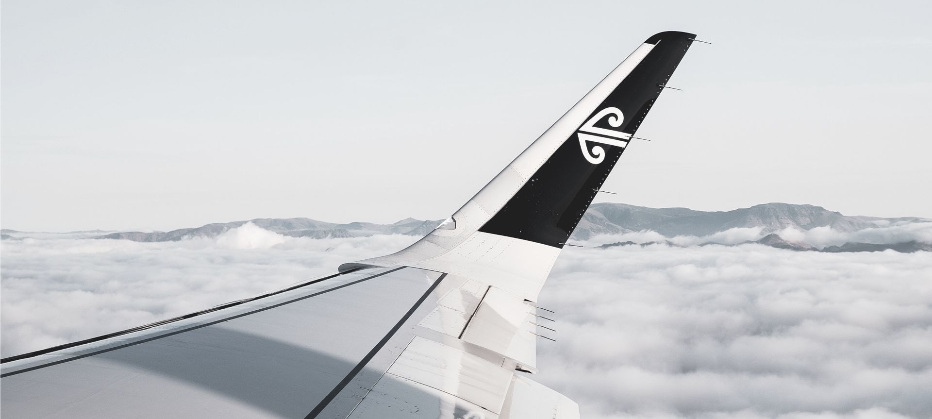 Air New Zealand banner