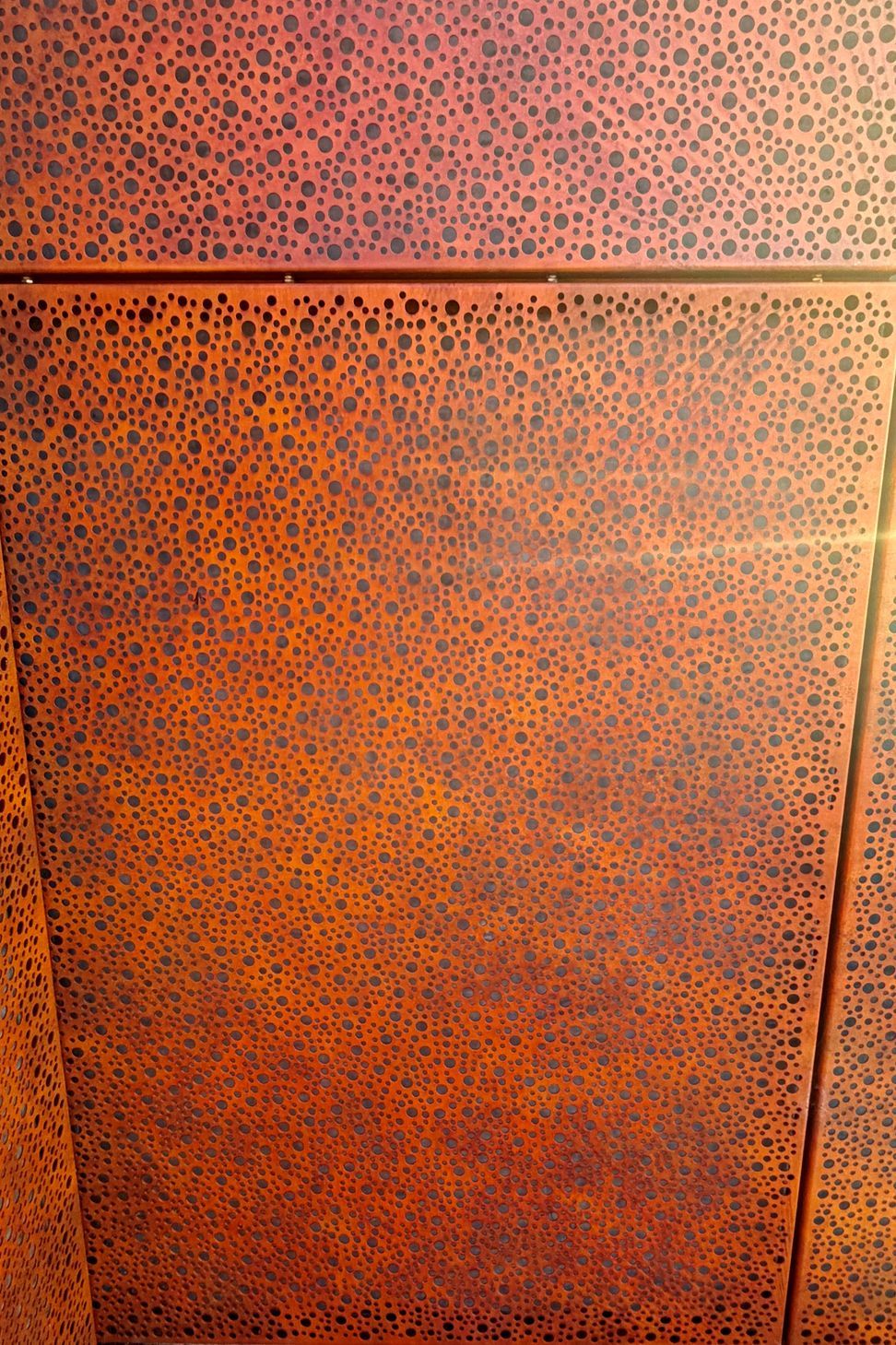 close-up-ap-compressed.jpg