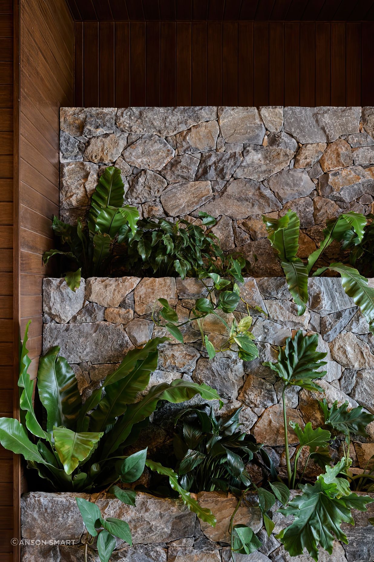 1218CottonOnWellnesss02-gigapixel-cgi-22x.jpeg