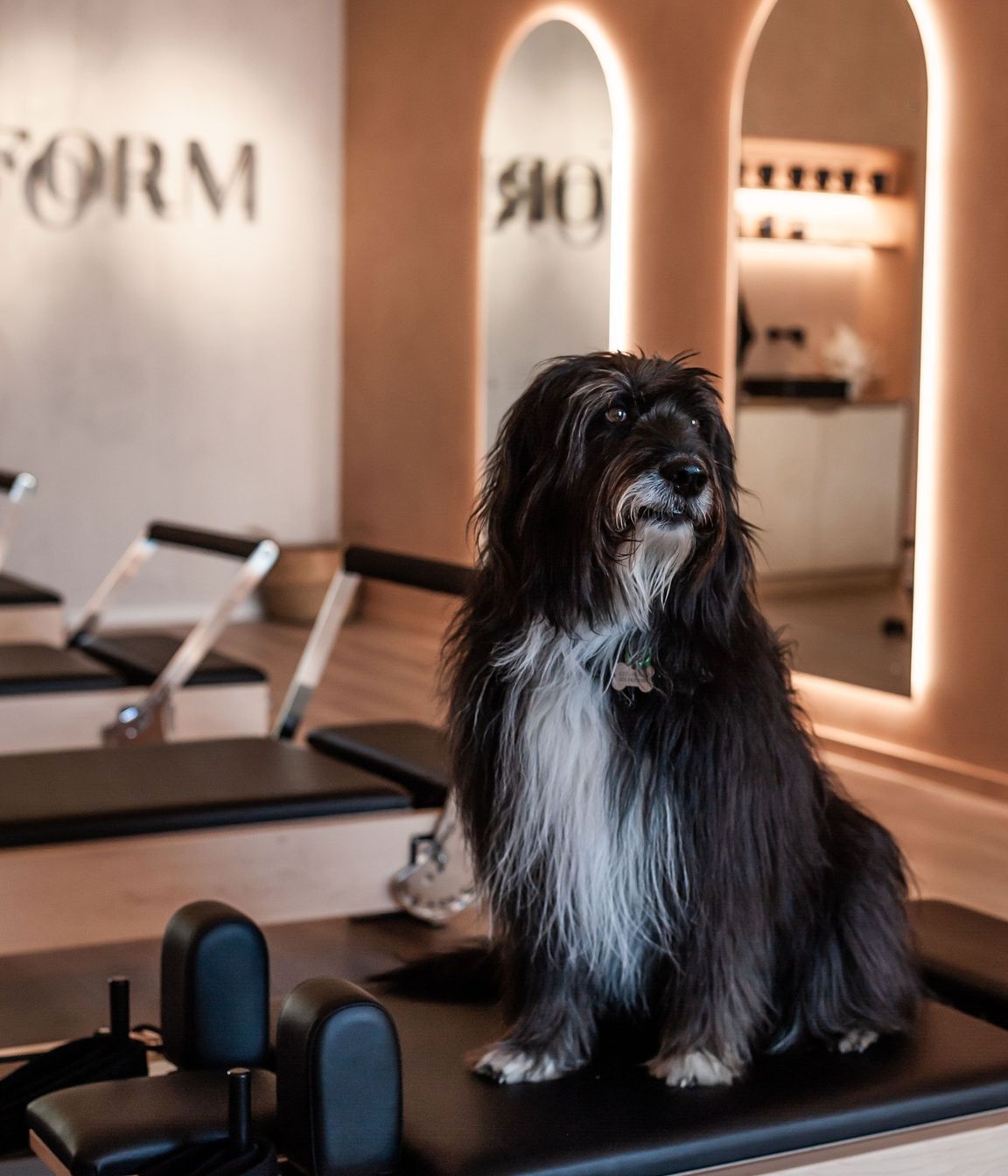 Form Pilates Studio