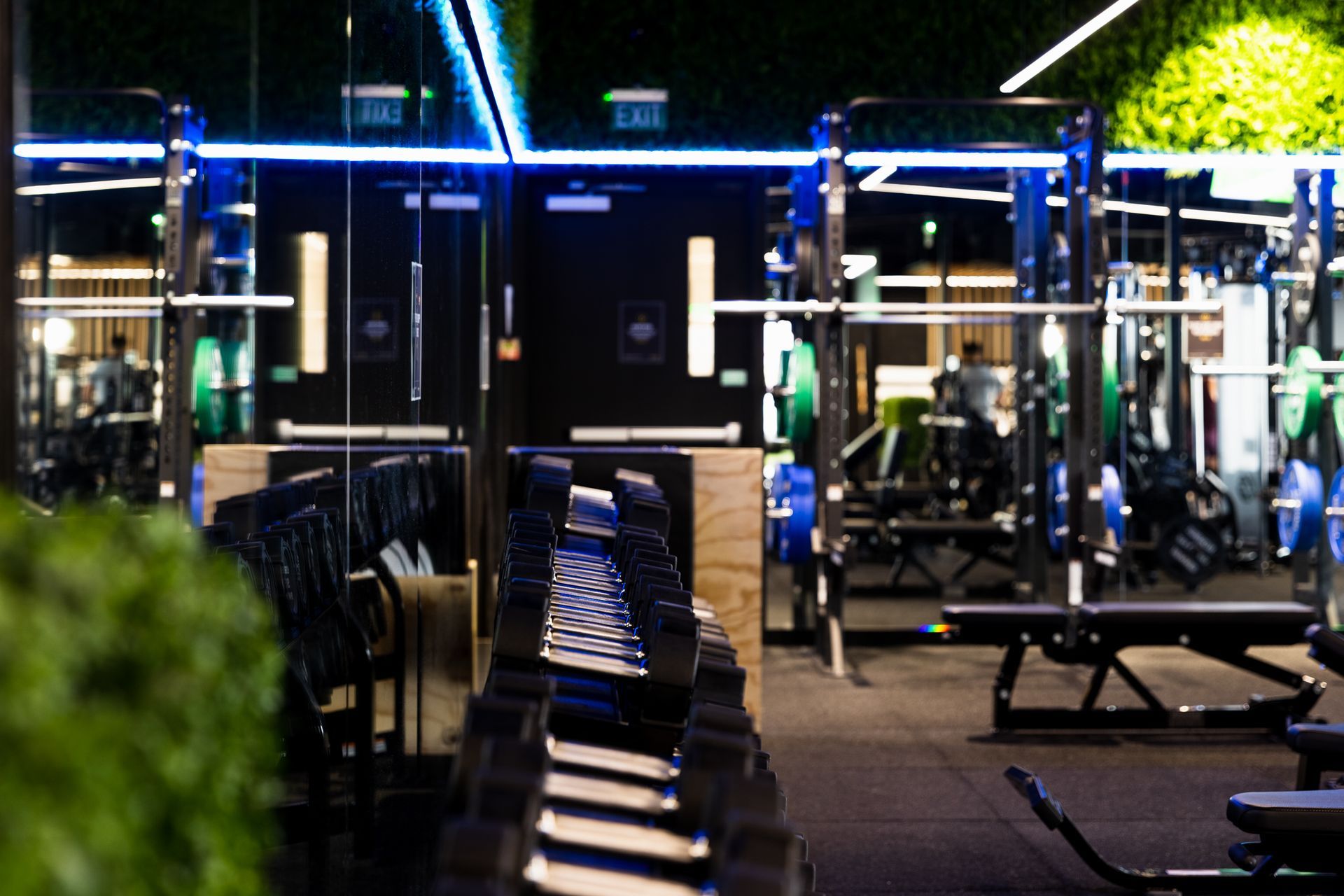 Flex Fitness | Auckland