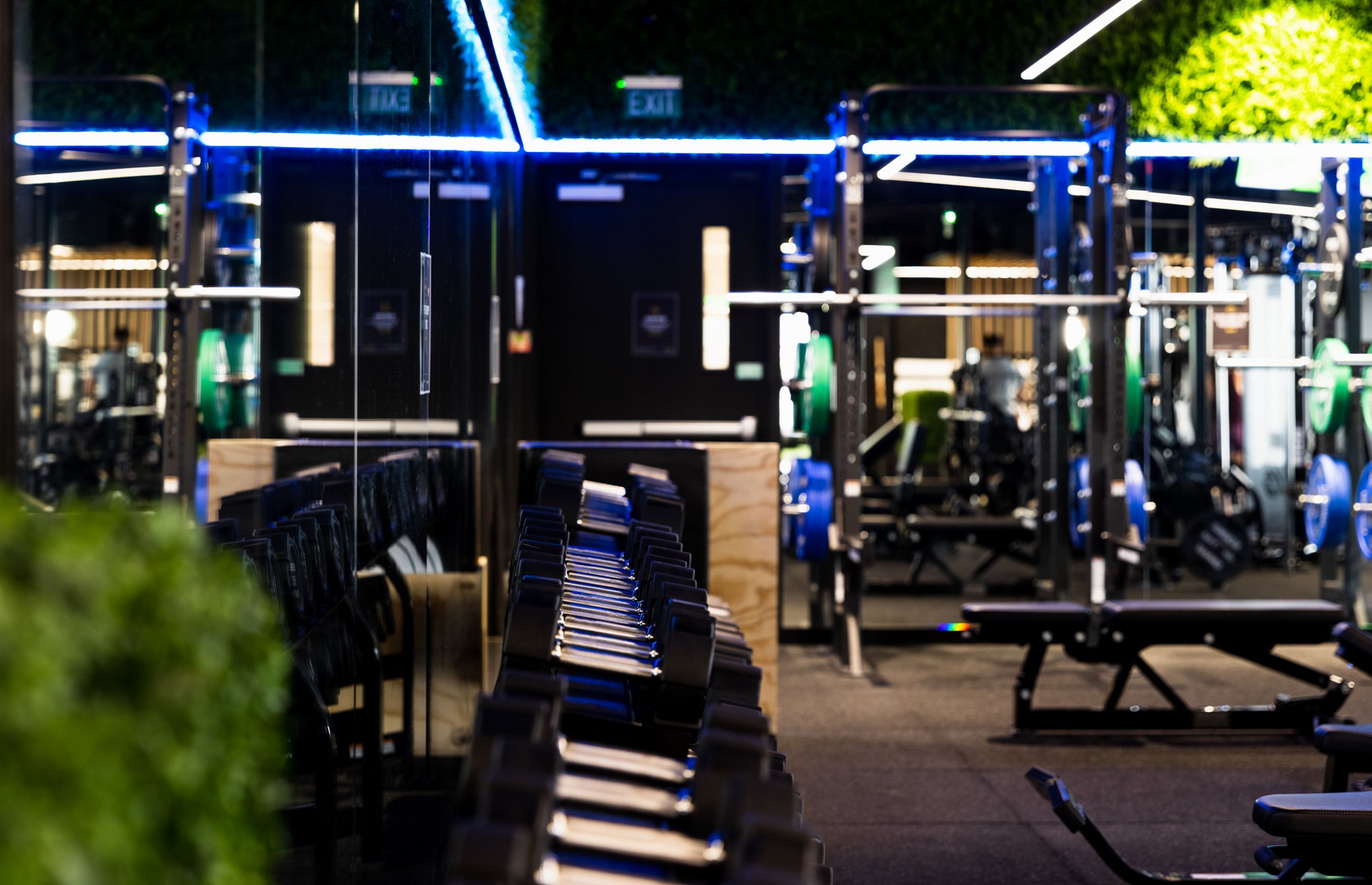 Flex Fitness | Auckland