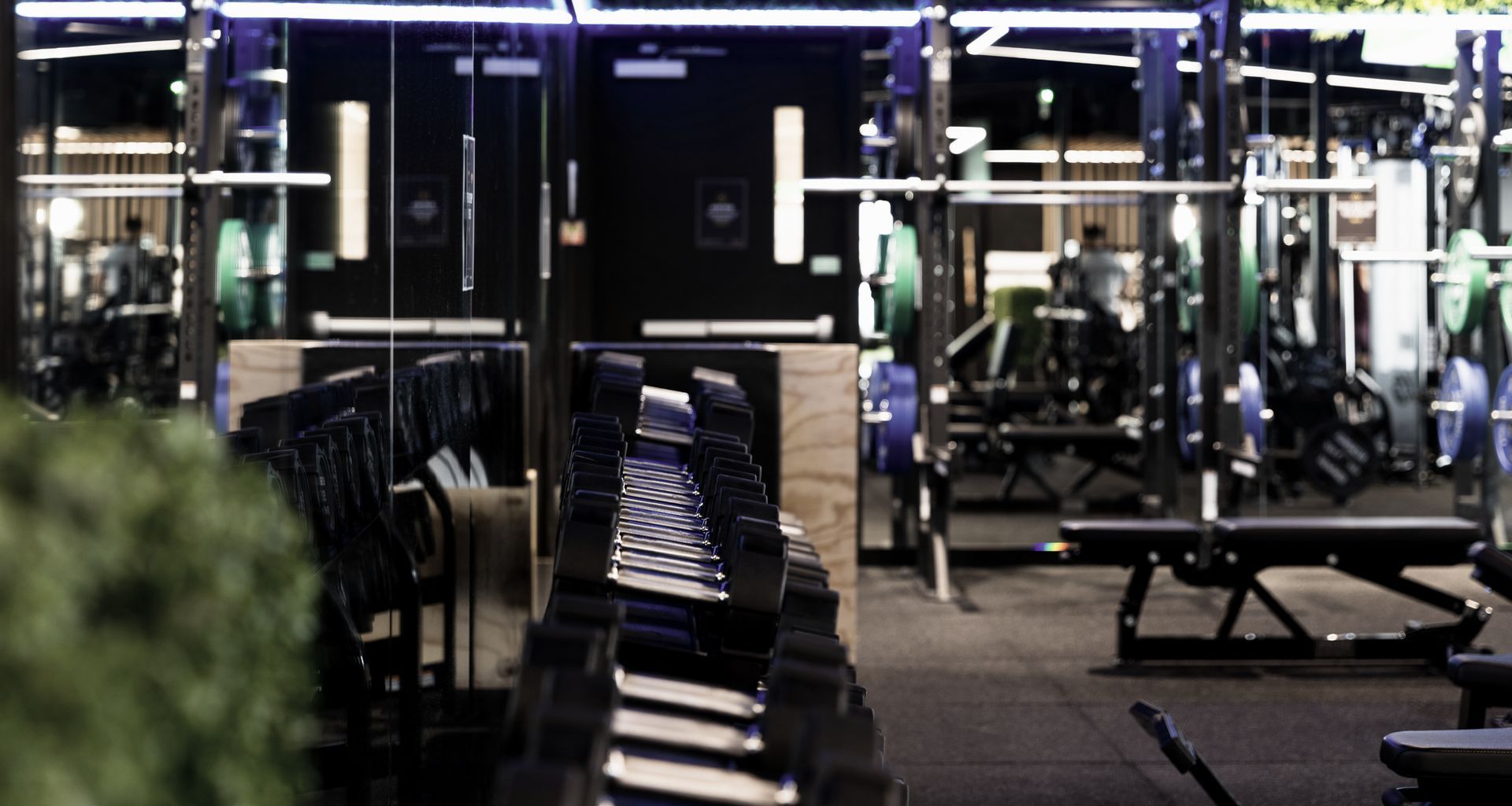 Flex Fitness | Auckland banner