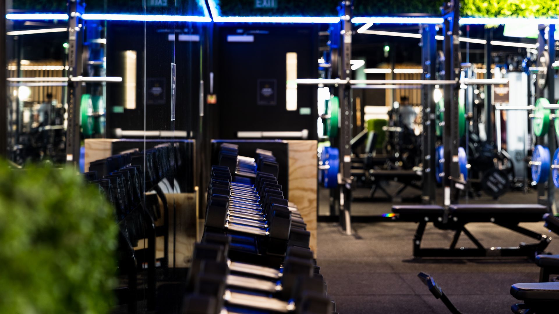 Flex Fitness | Auckland banner