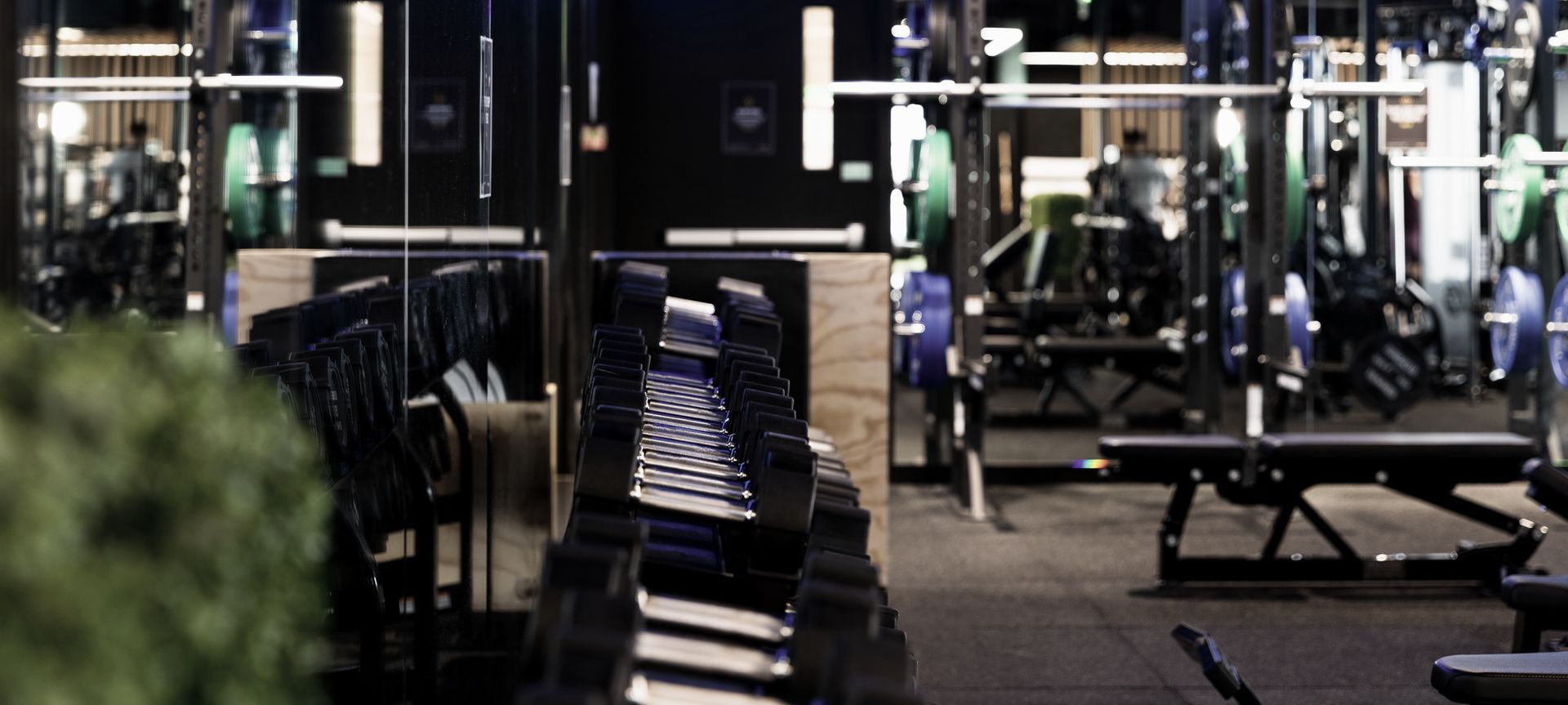 Flex Fitness | Auckland banner