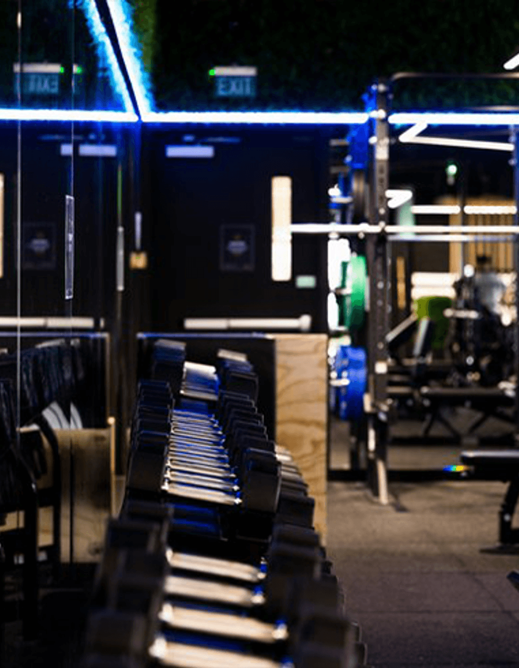 Flex Fitness | Auckland