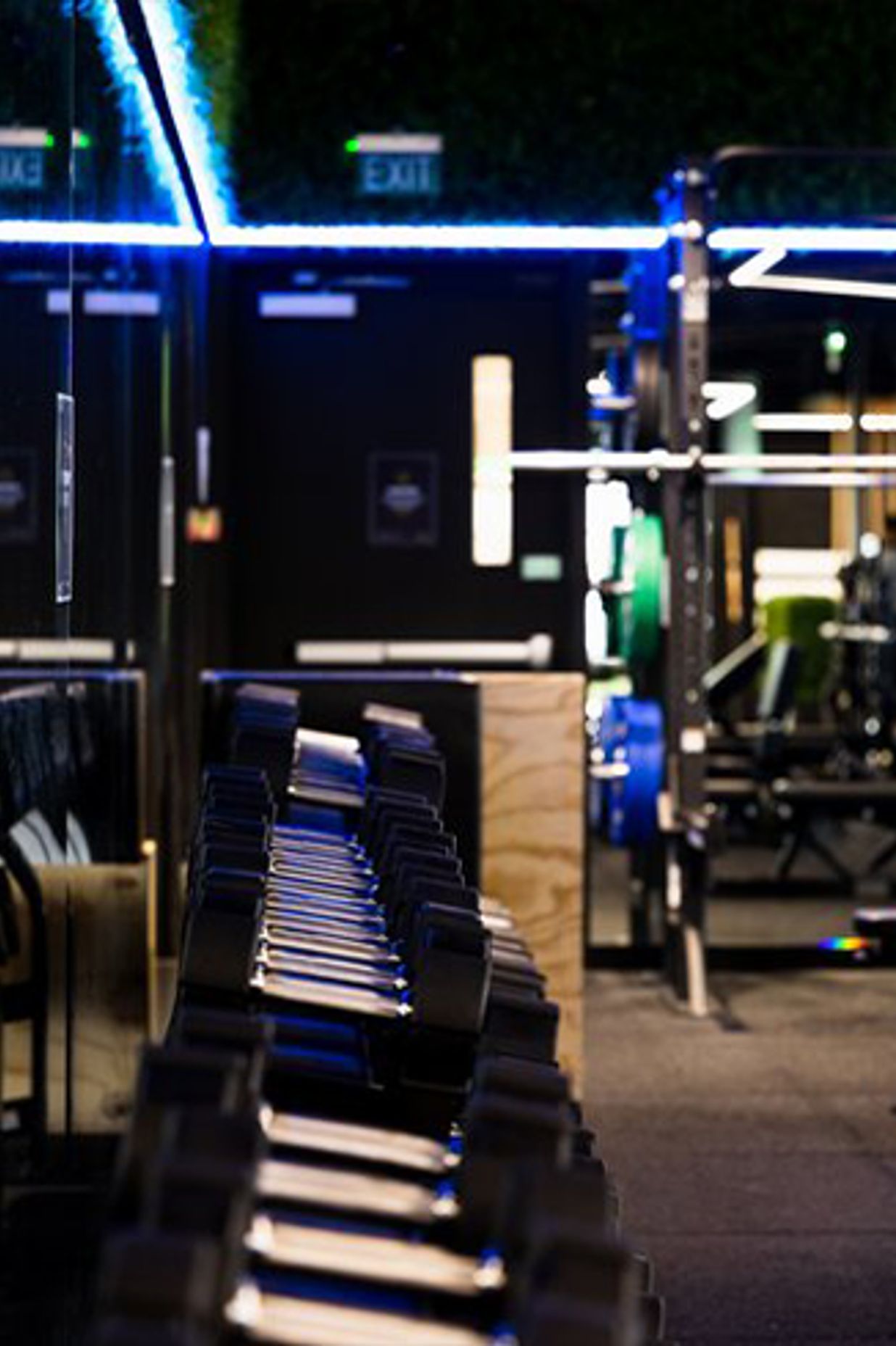 Flex Fitness | Auckland