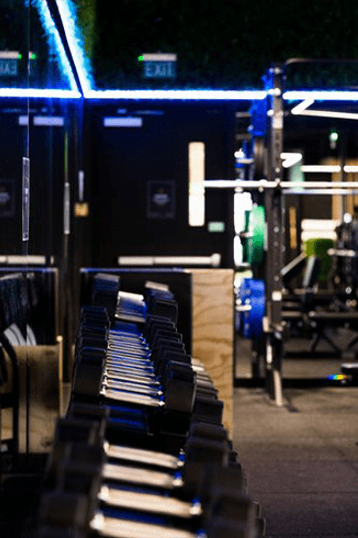 Flex Fitness | Auckland