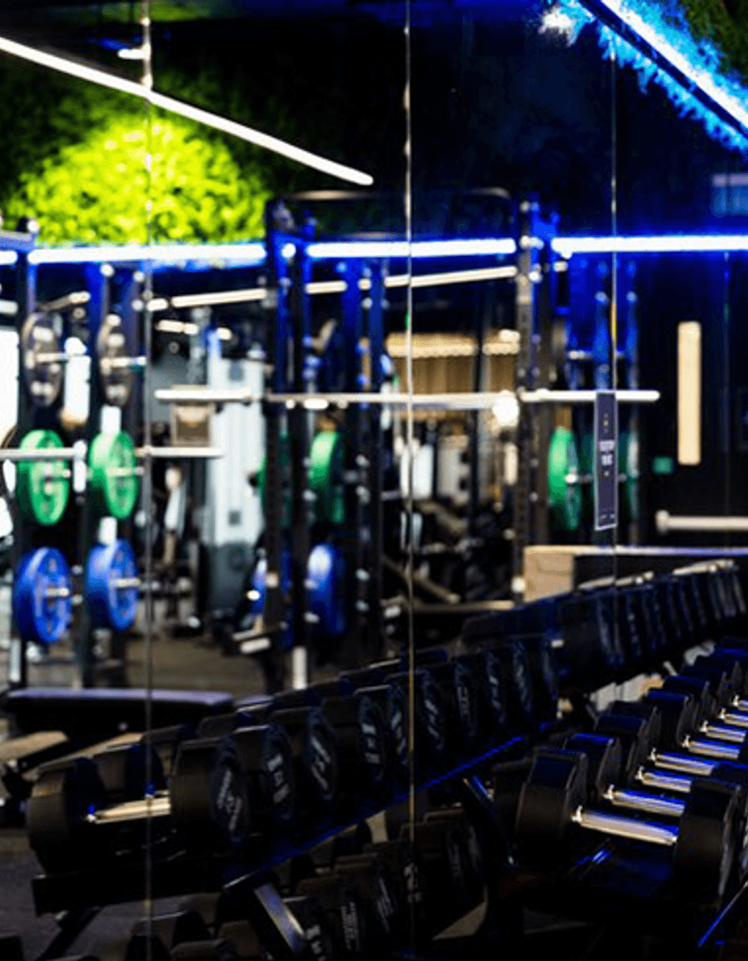 Flex Fitness | Auckland