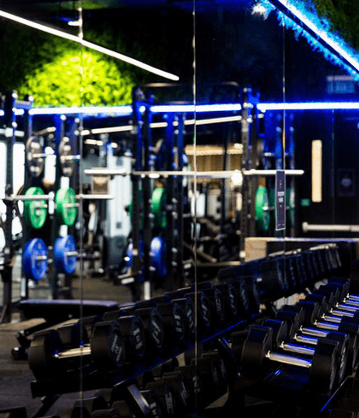 Flex Fitness | Auckland