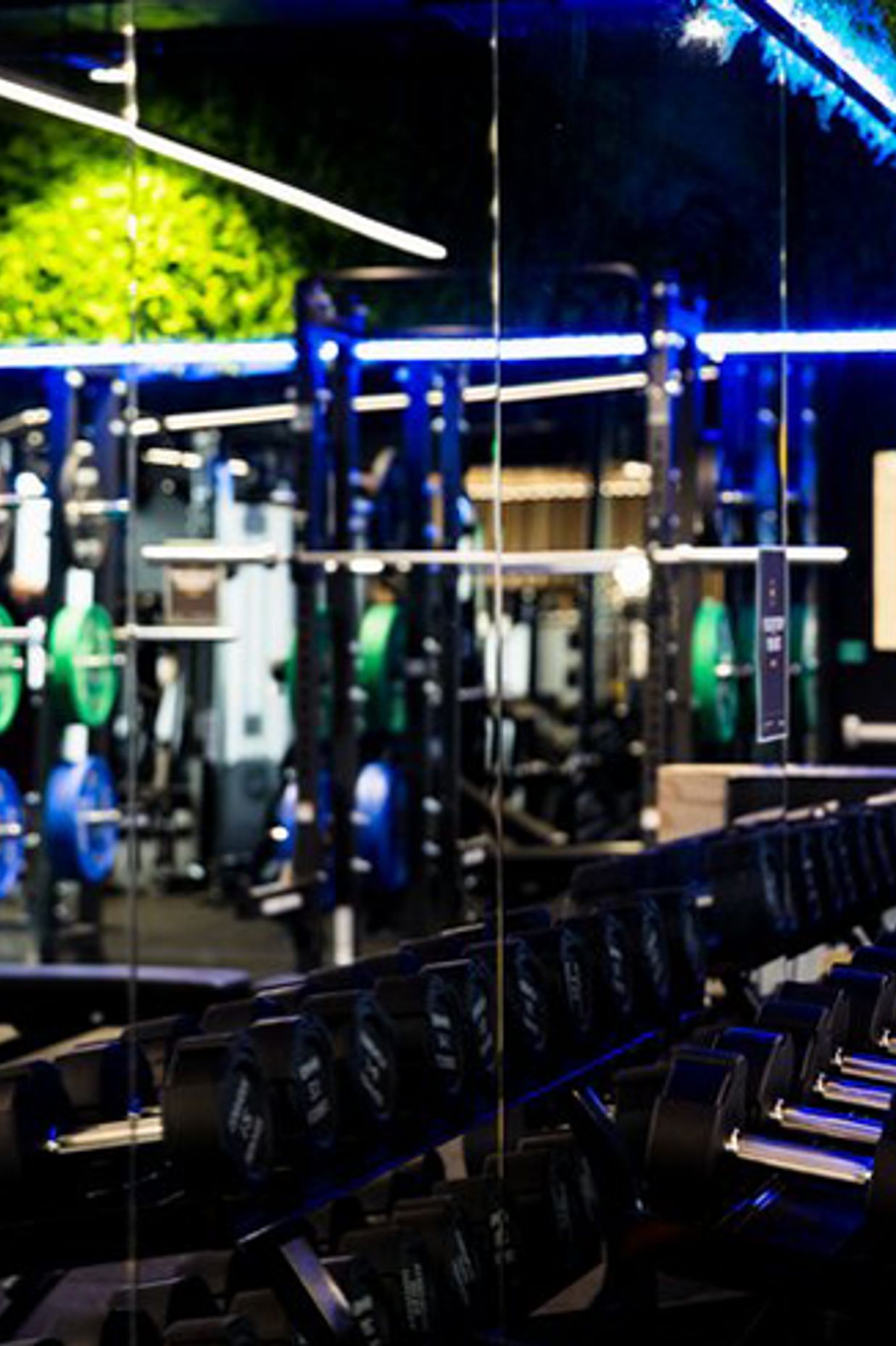 Flex Fitness | Auckland
