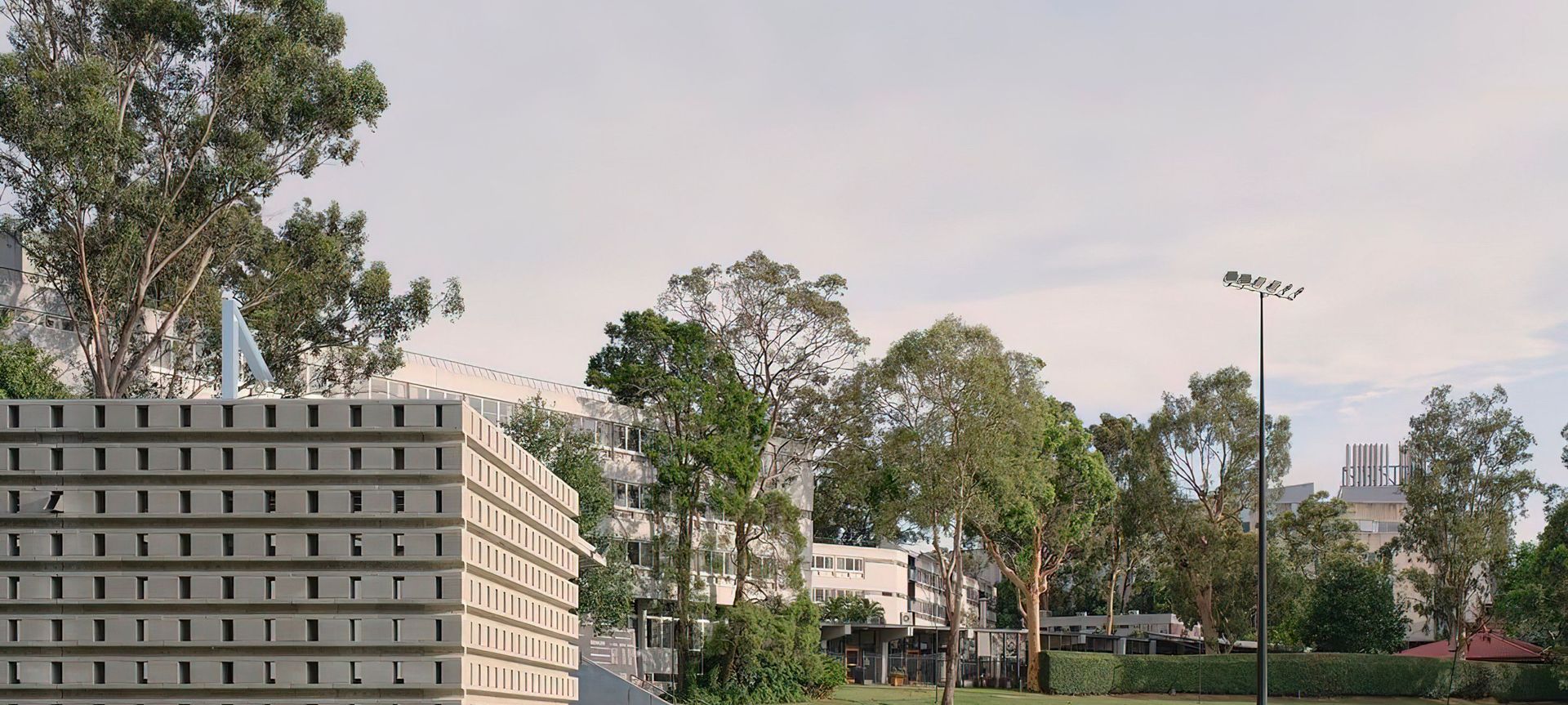 UQ Cricket Shed banner