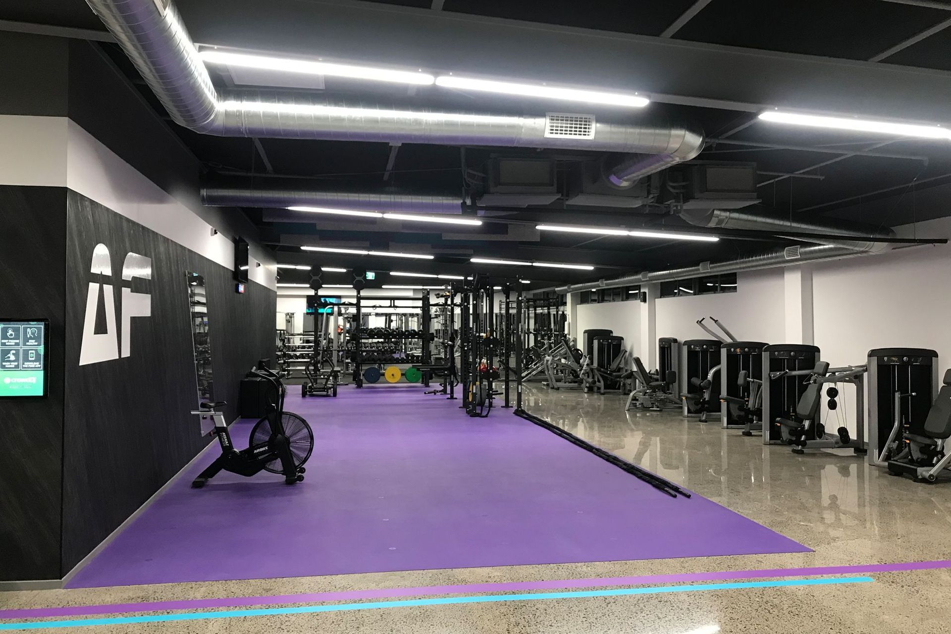Anytime Fitness, Takapuna