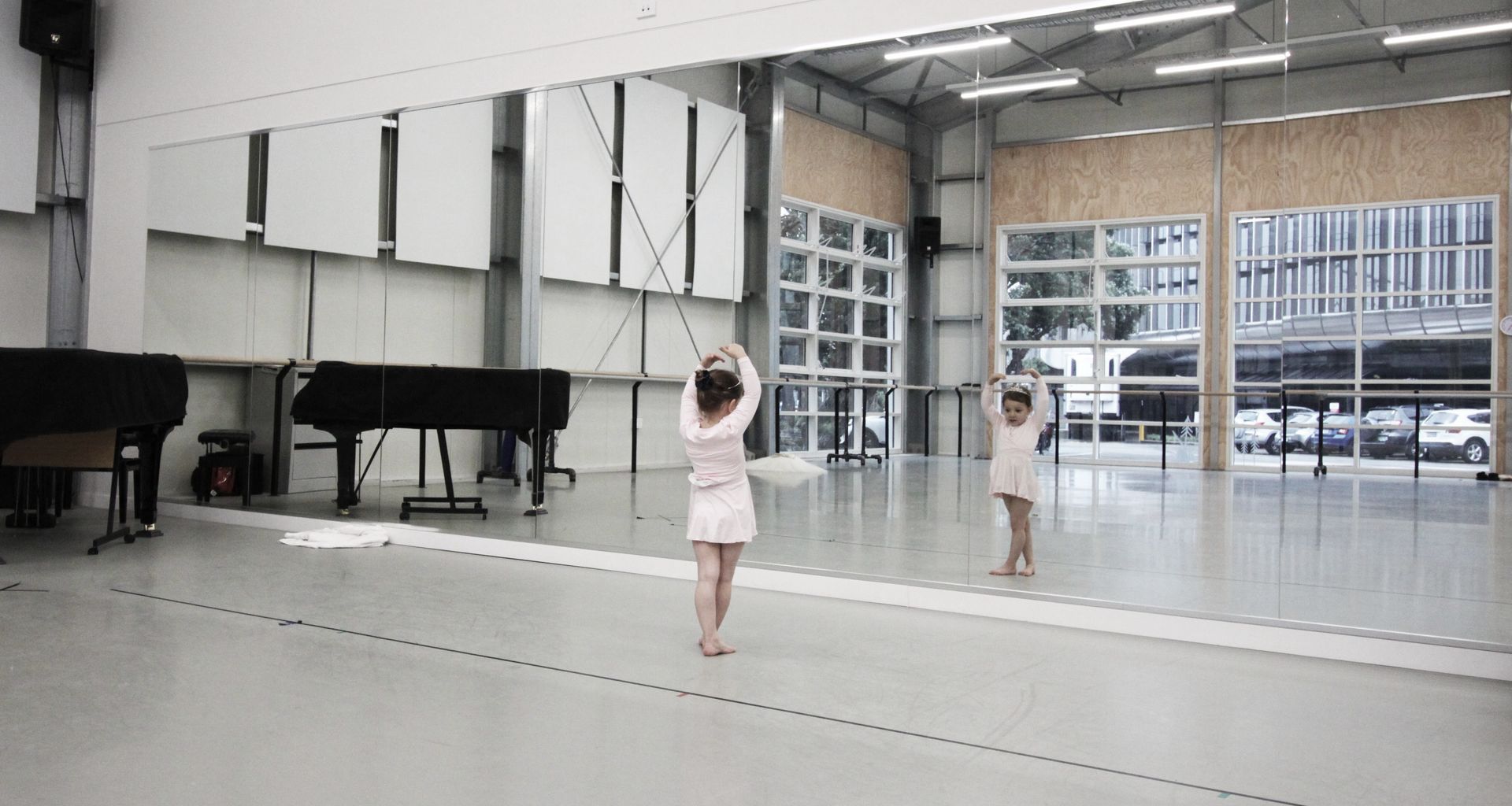 RNZB Studio banner