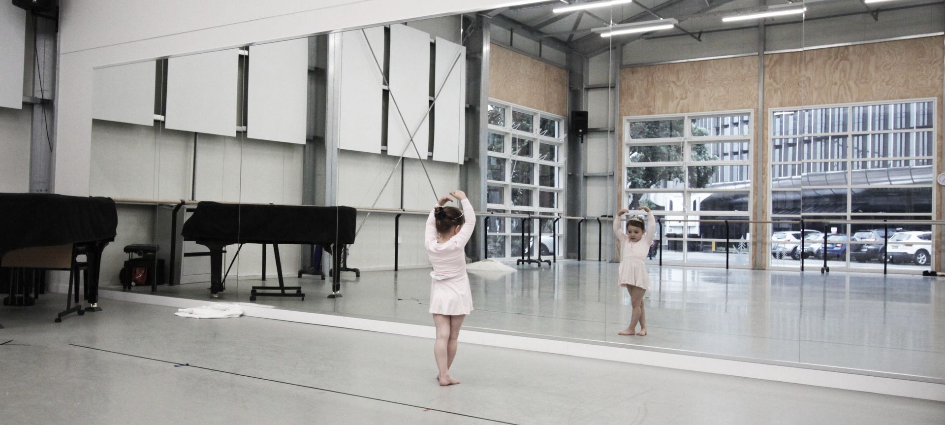 RNZB Studio banner