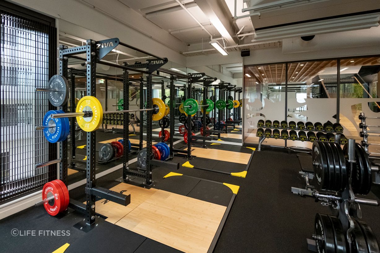 LF-x-Elevate-Fitness-10.jpg