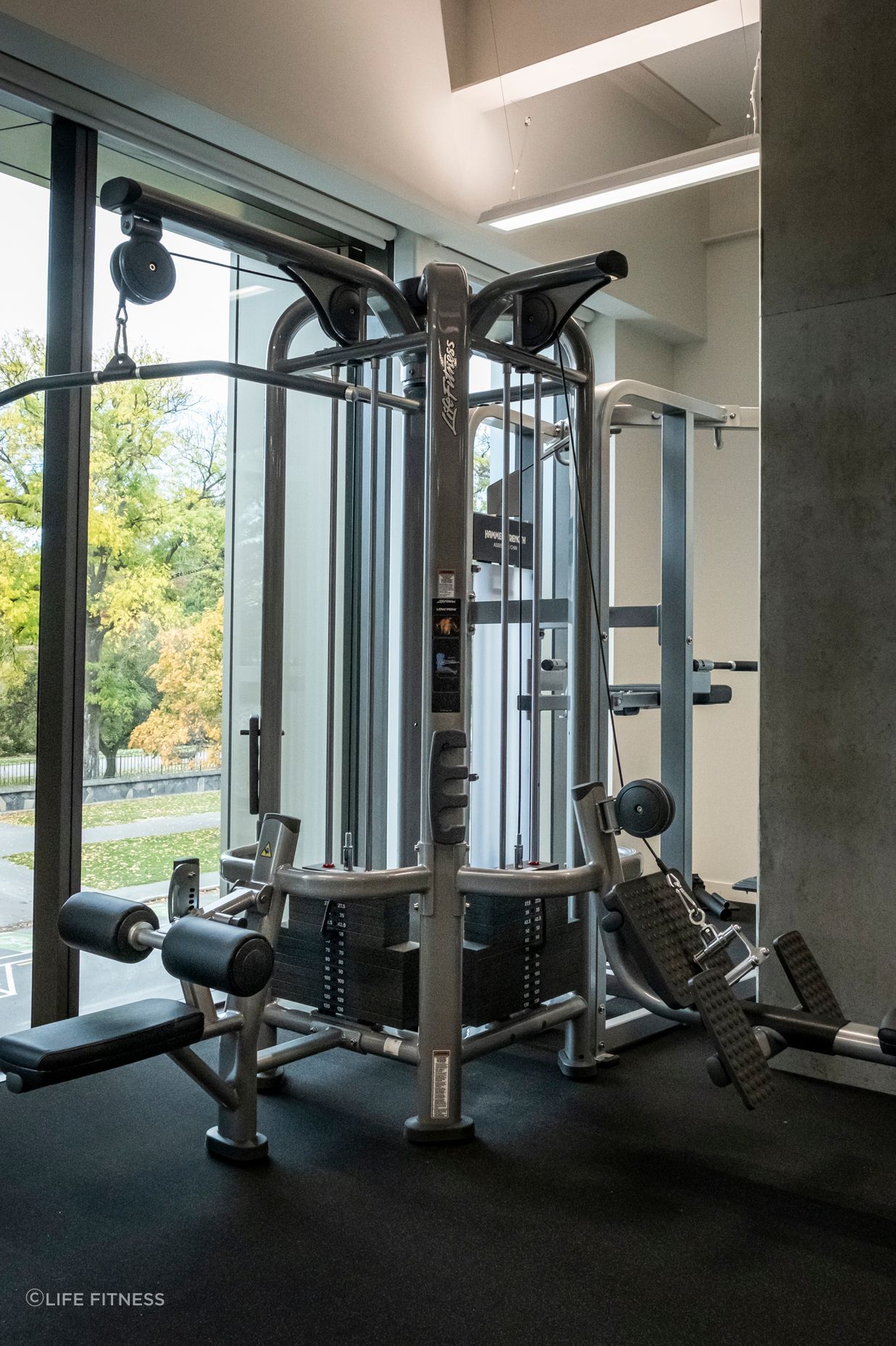 LF-x-Elevate-Fitness-15.jpg