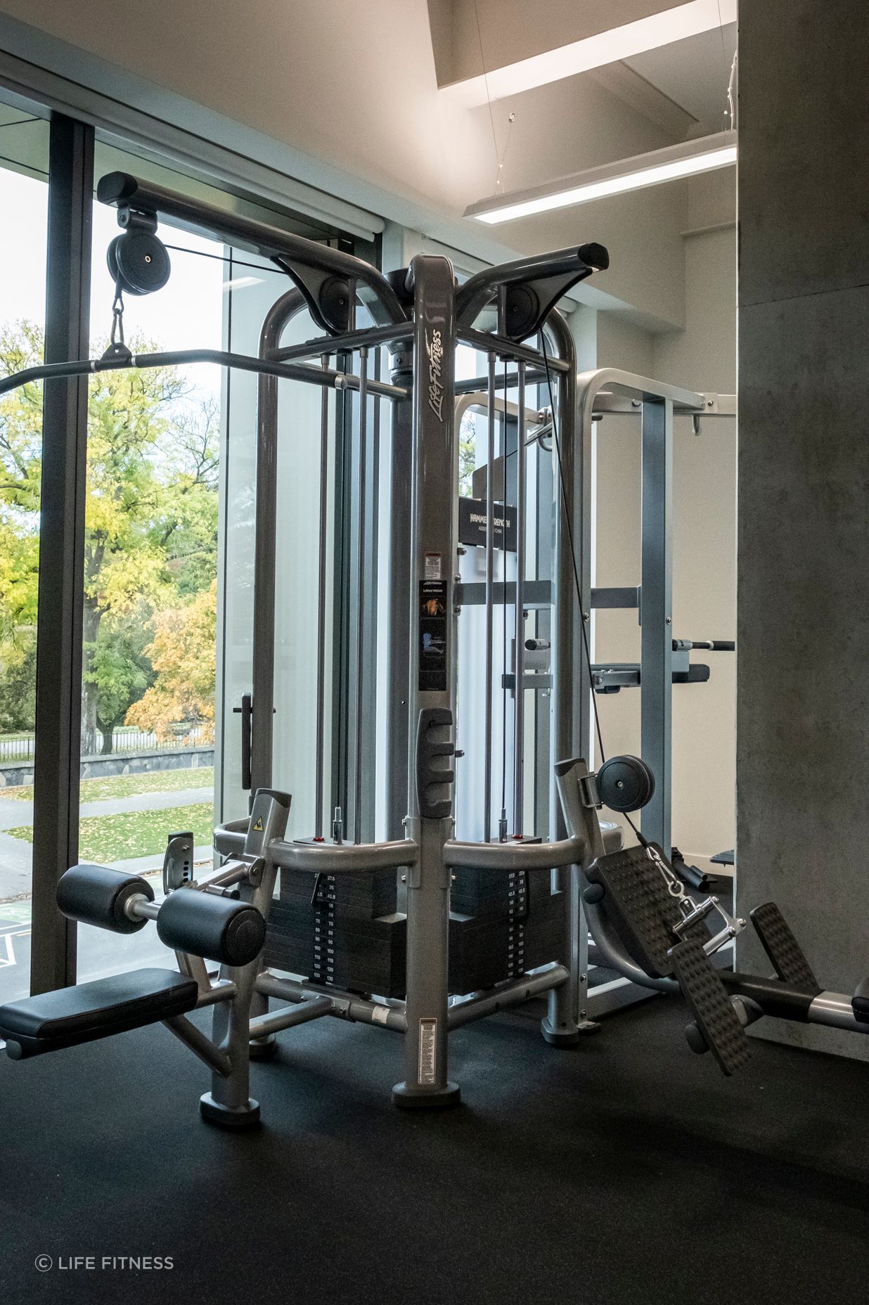LF-x-Elevate-Fitness-15.jpg