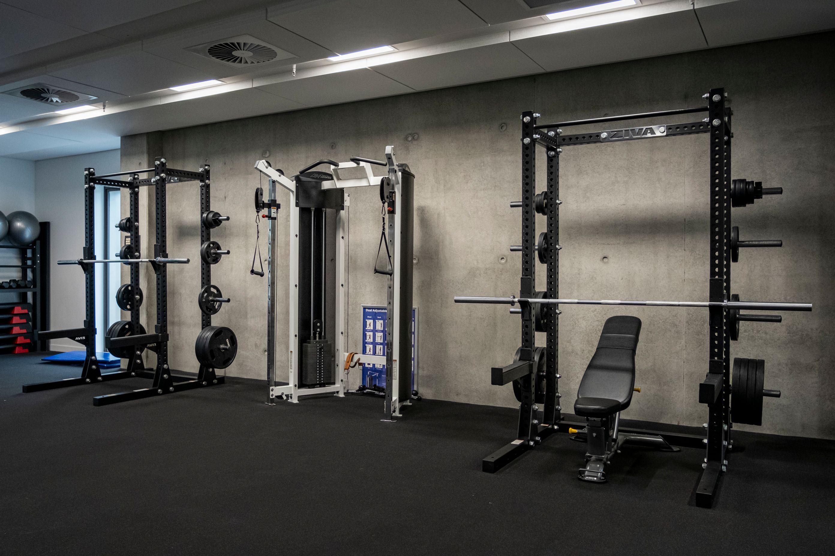 LF-x-Elevate-Fitness-30.jpg