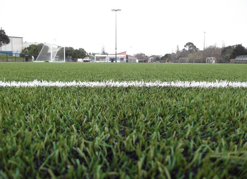 Ellerslie Football Club, Michaels Ave