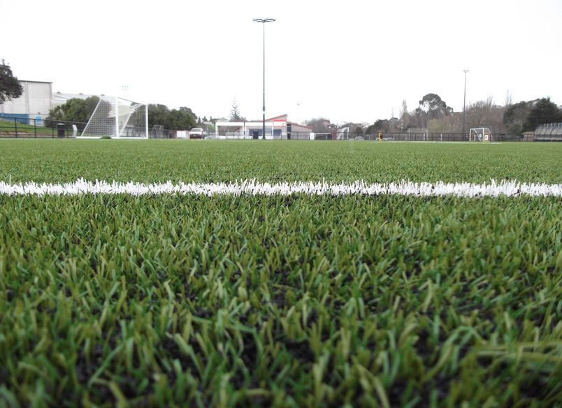Ellerslie Football Club, Michaels Ave