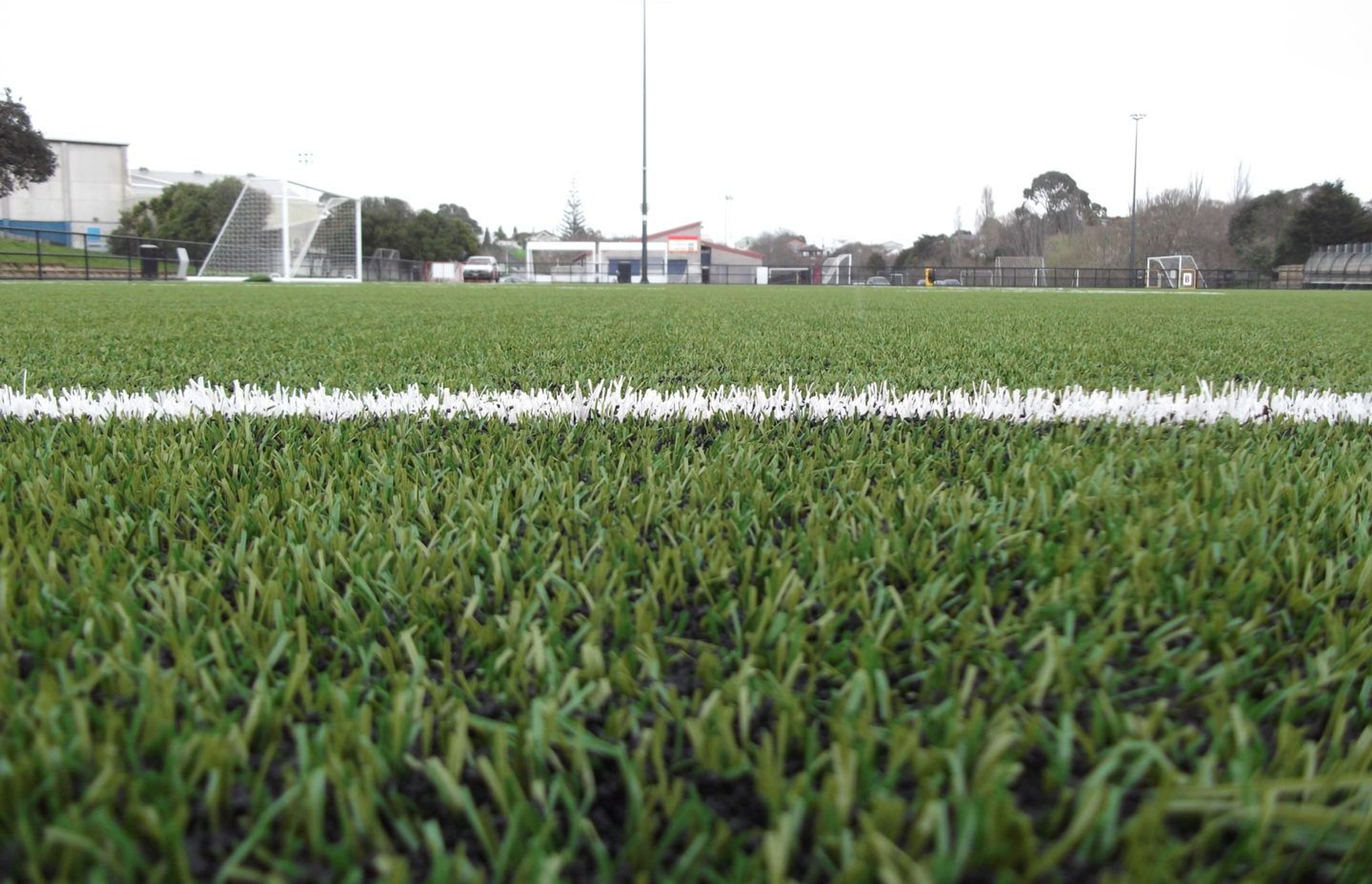 Ellerslie Football Club, Michaels Ave