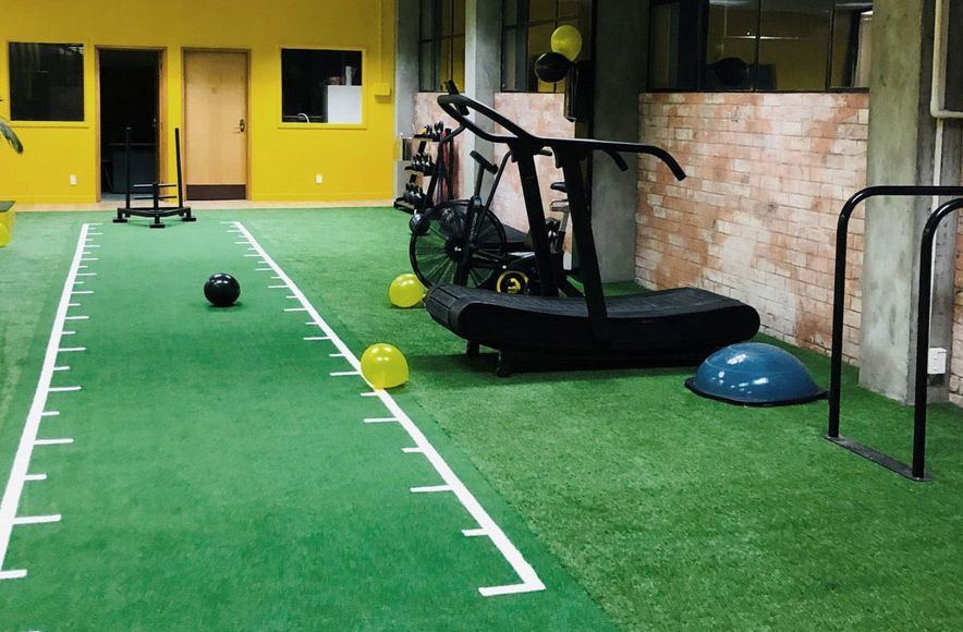 Miki D's Gym