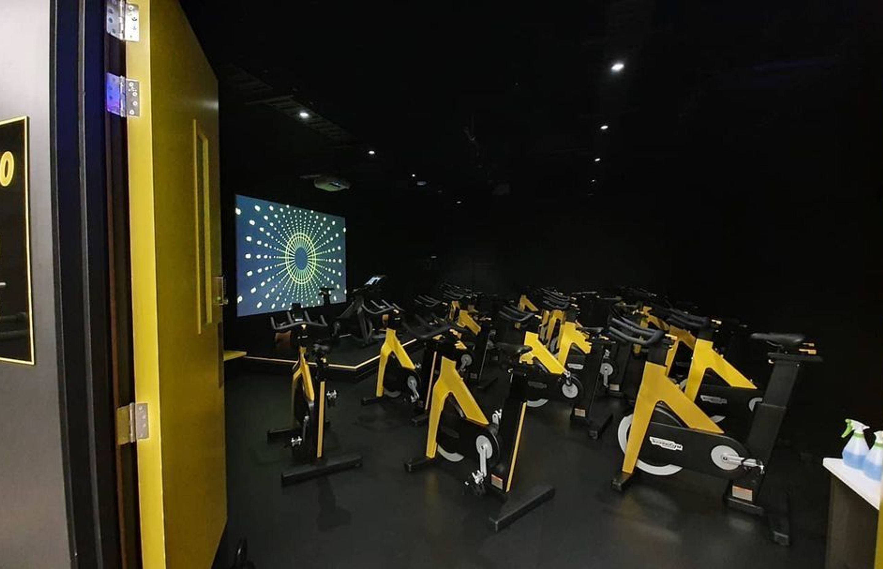 AllFit Takapuna