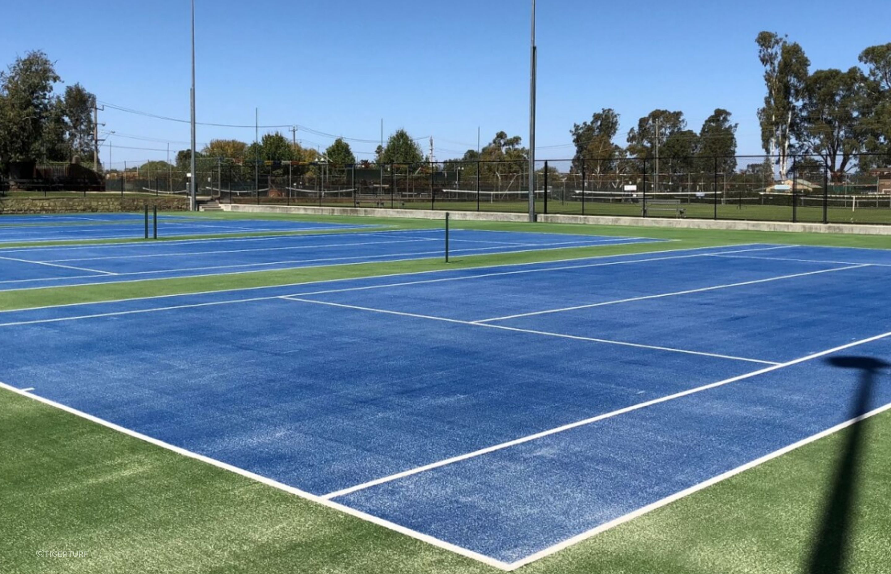 Shepparton Lawn Tennis Club