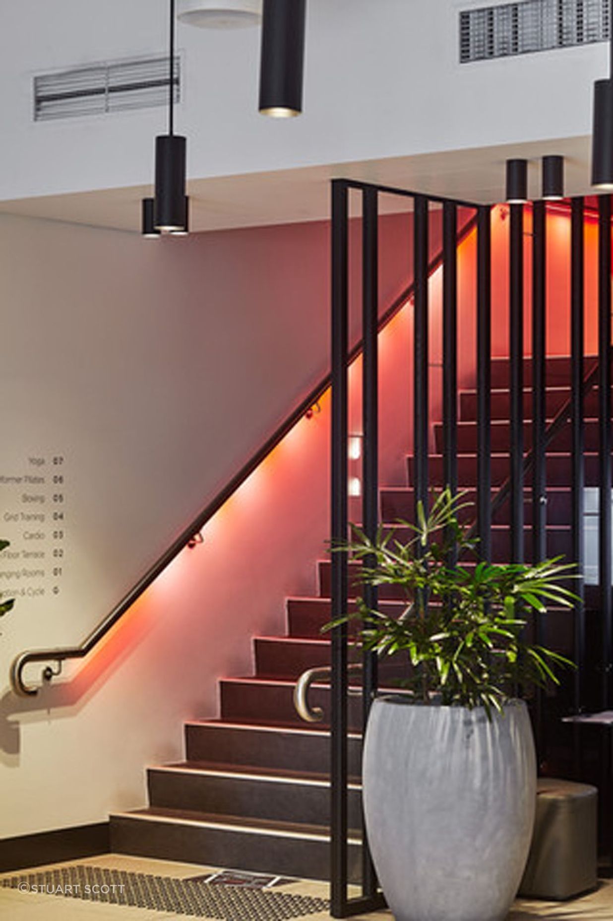 Virgin-Active-Bondi04.jpg