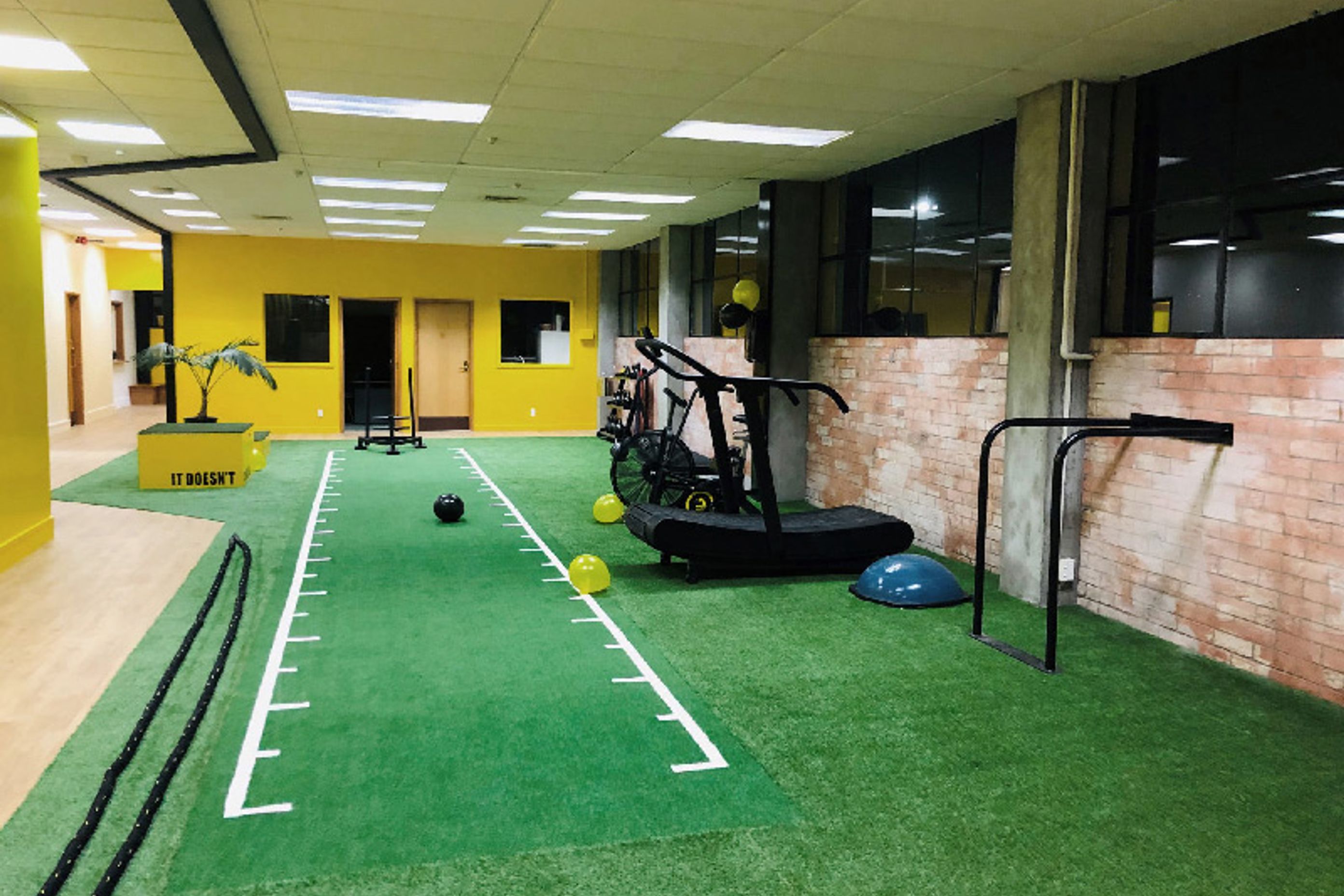 Miki D's Gym