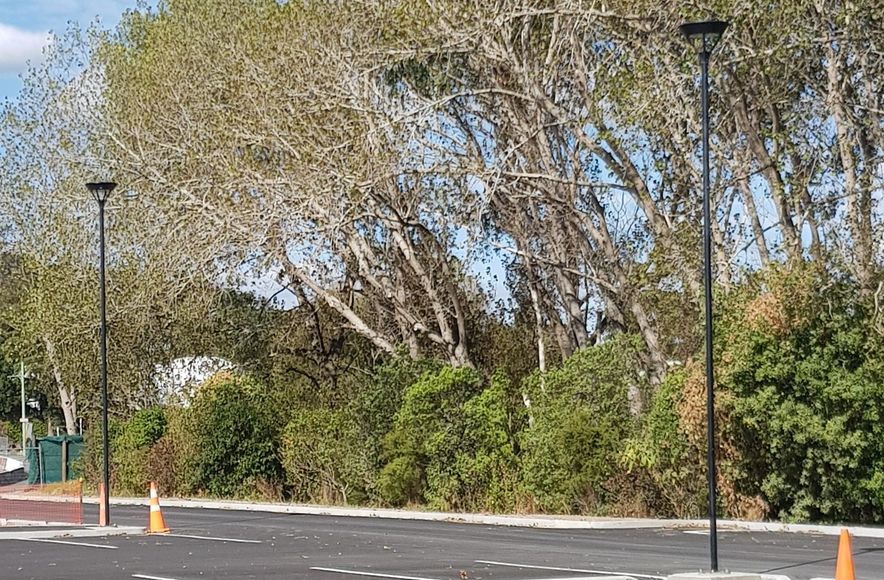 Western Springs College Carpark Lighting