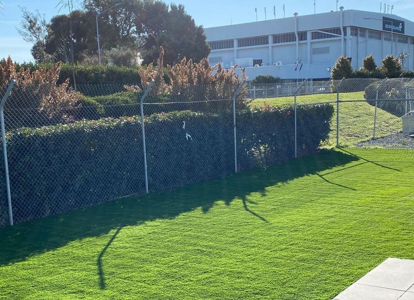 Airport Security Dog Run