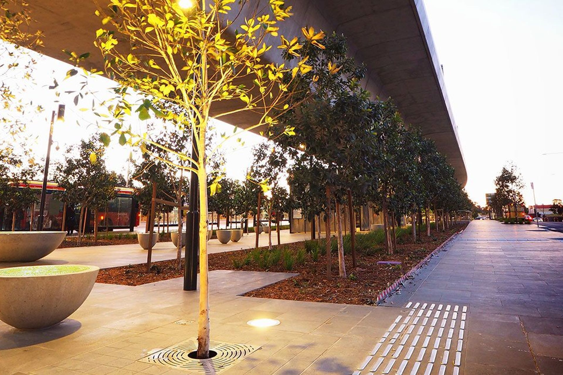 Photography: Playa Media