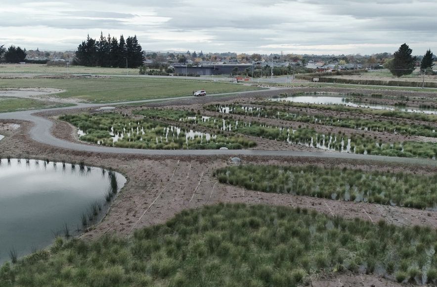 Townsend Fields