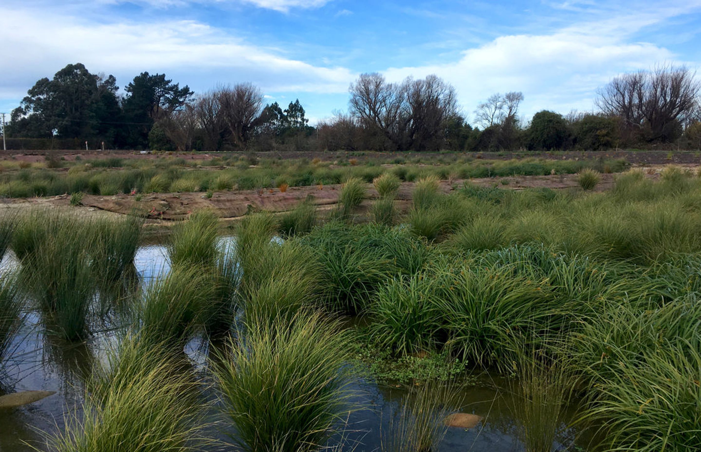 Townsend Fields