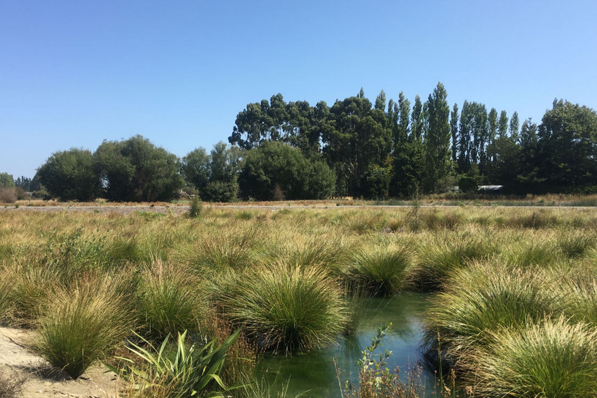 Townsend Fields
