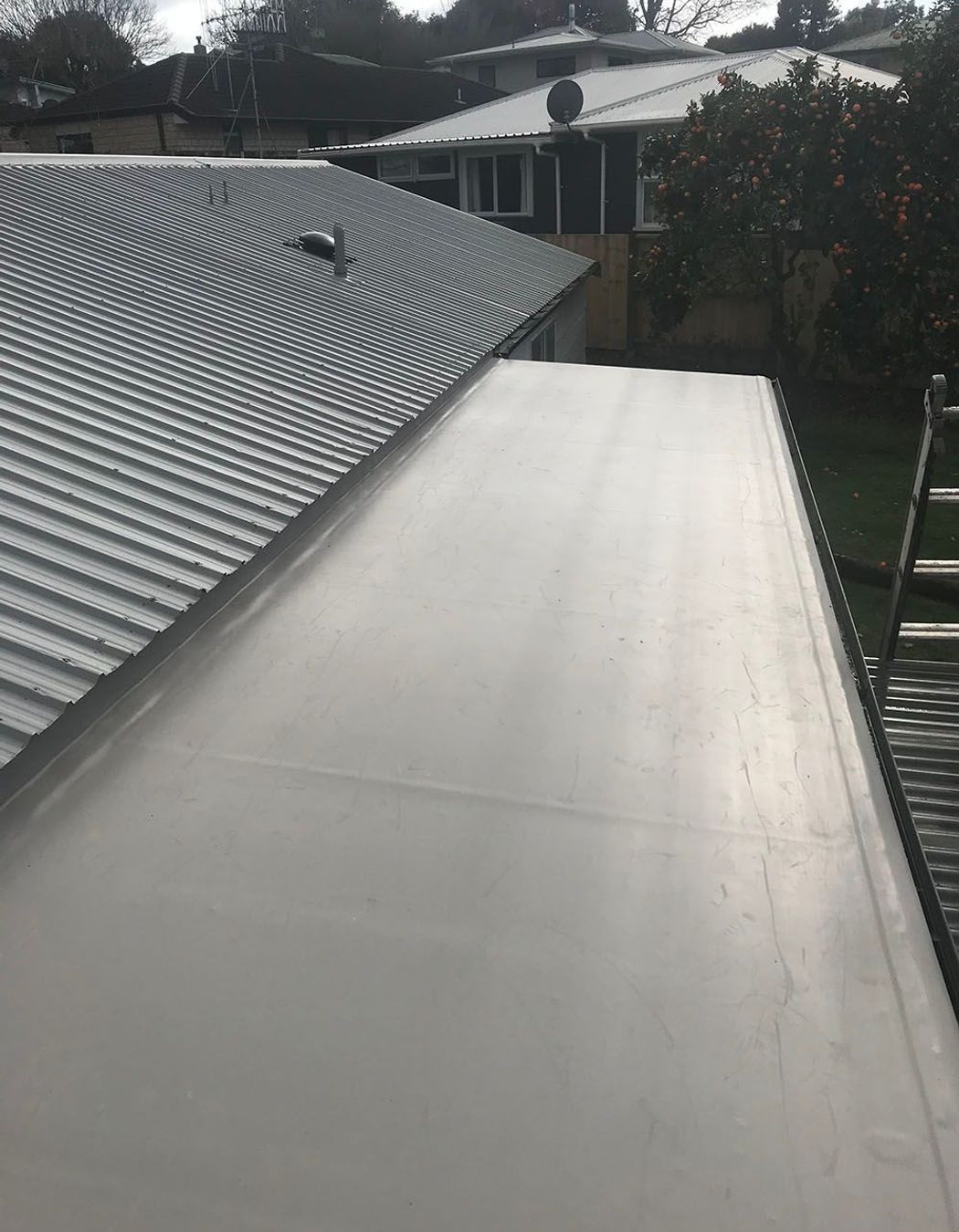 Sealco 1.5 Ectuff TPO membrane to flat roof area