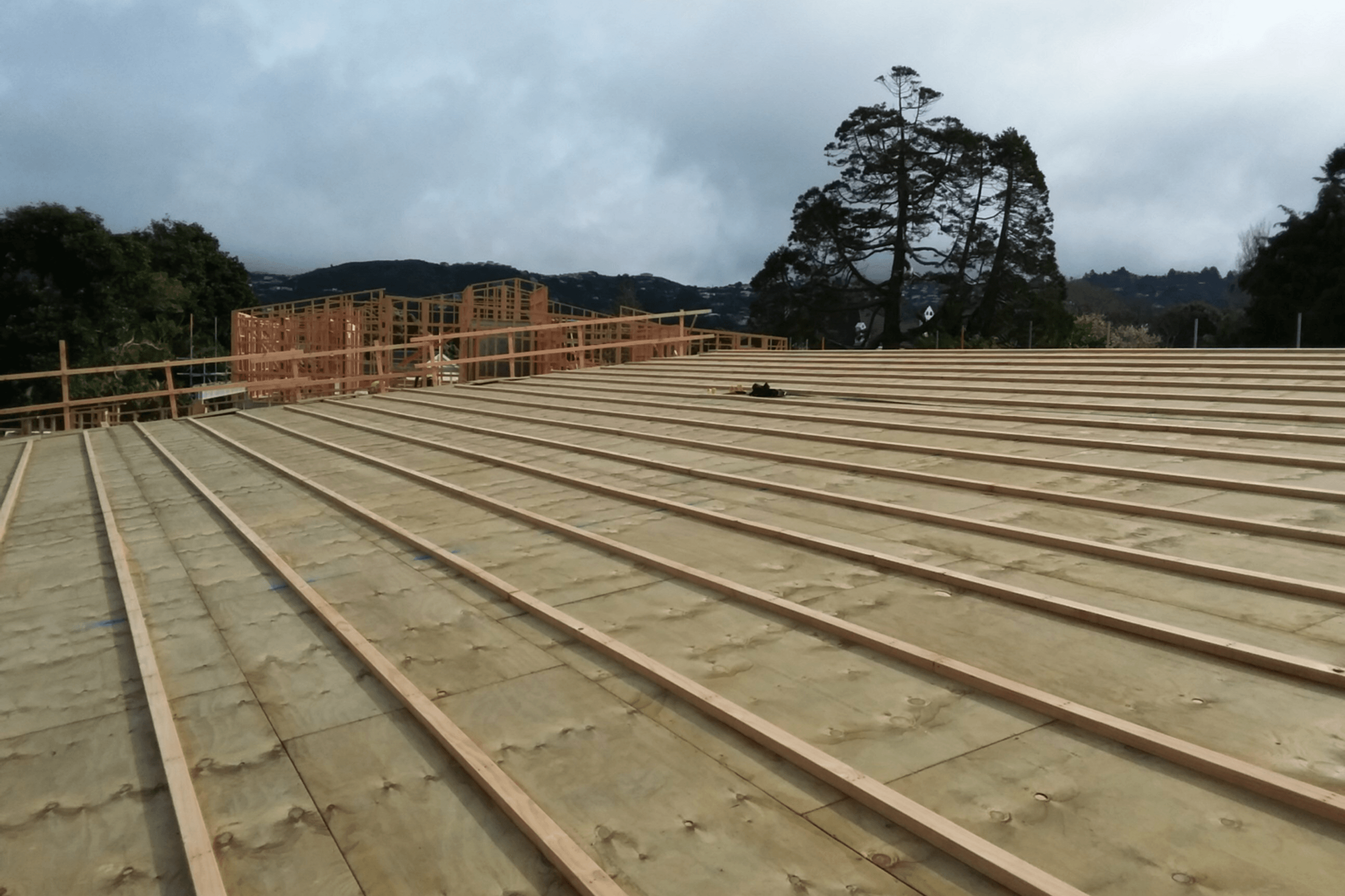 Te Omanga Hospice