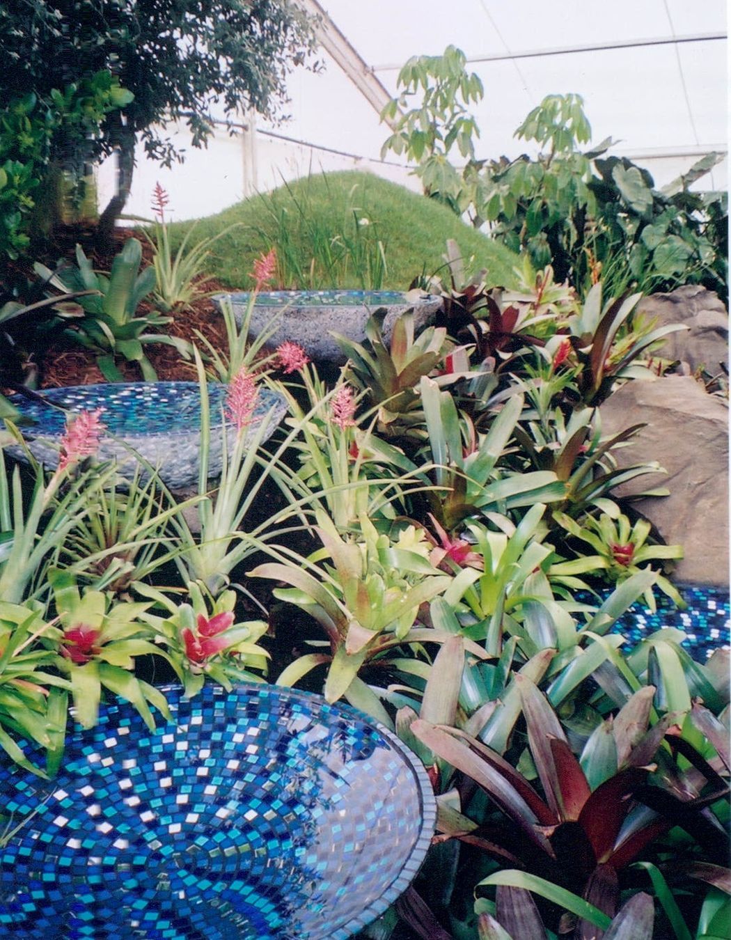 Ellerslie Flower Show