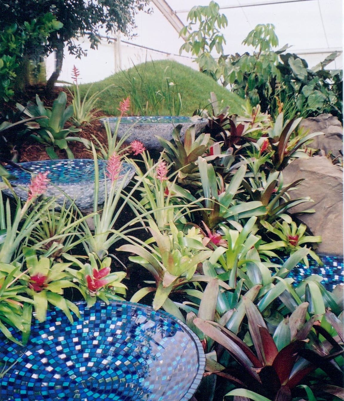 Ellerslie Flower Show