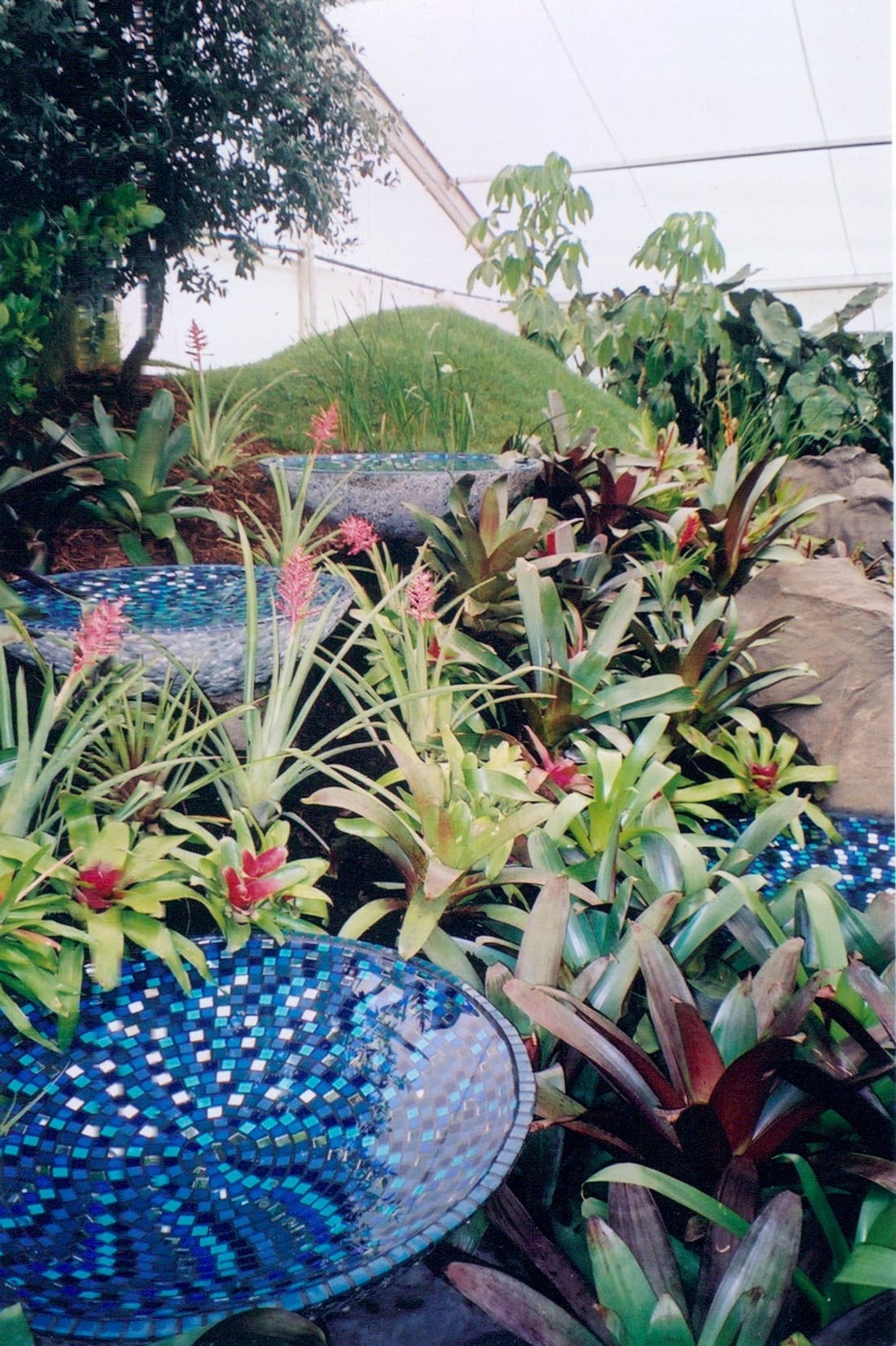 Ellerslie Flower Show