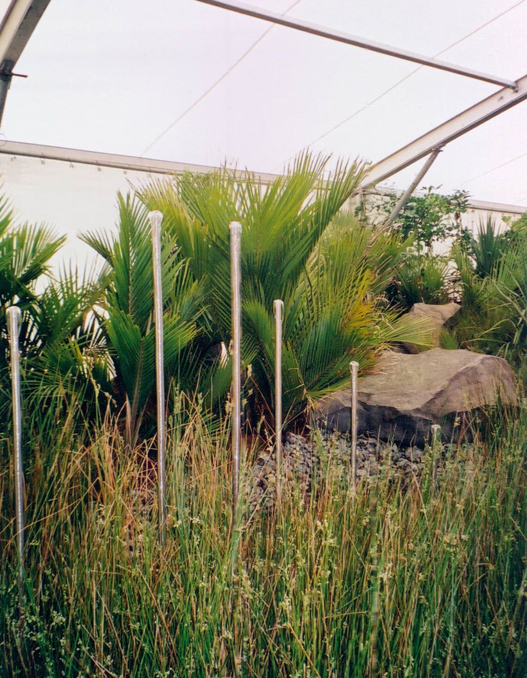 Ellerslie Flower Show