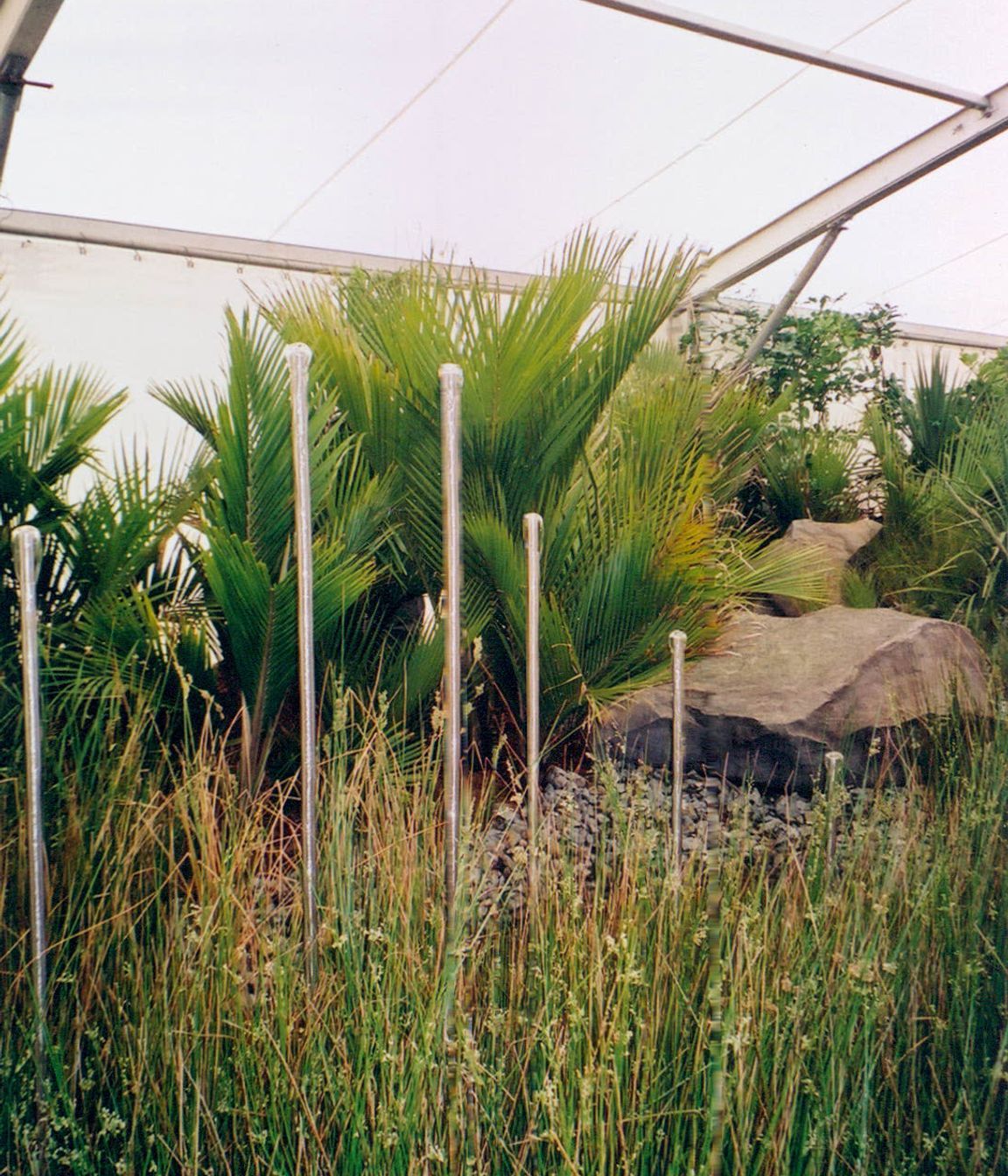 Ellerslie Flower Show
