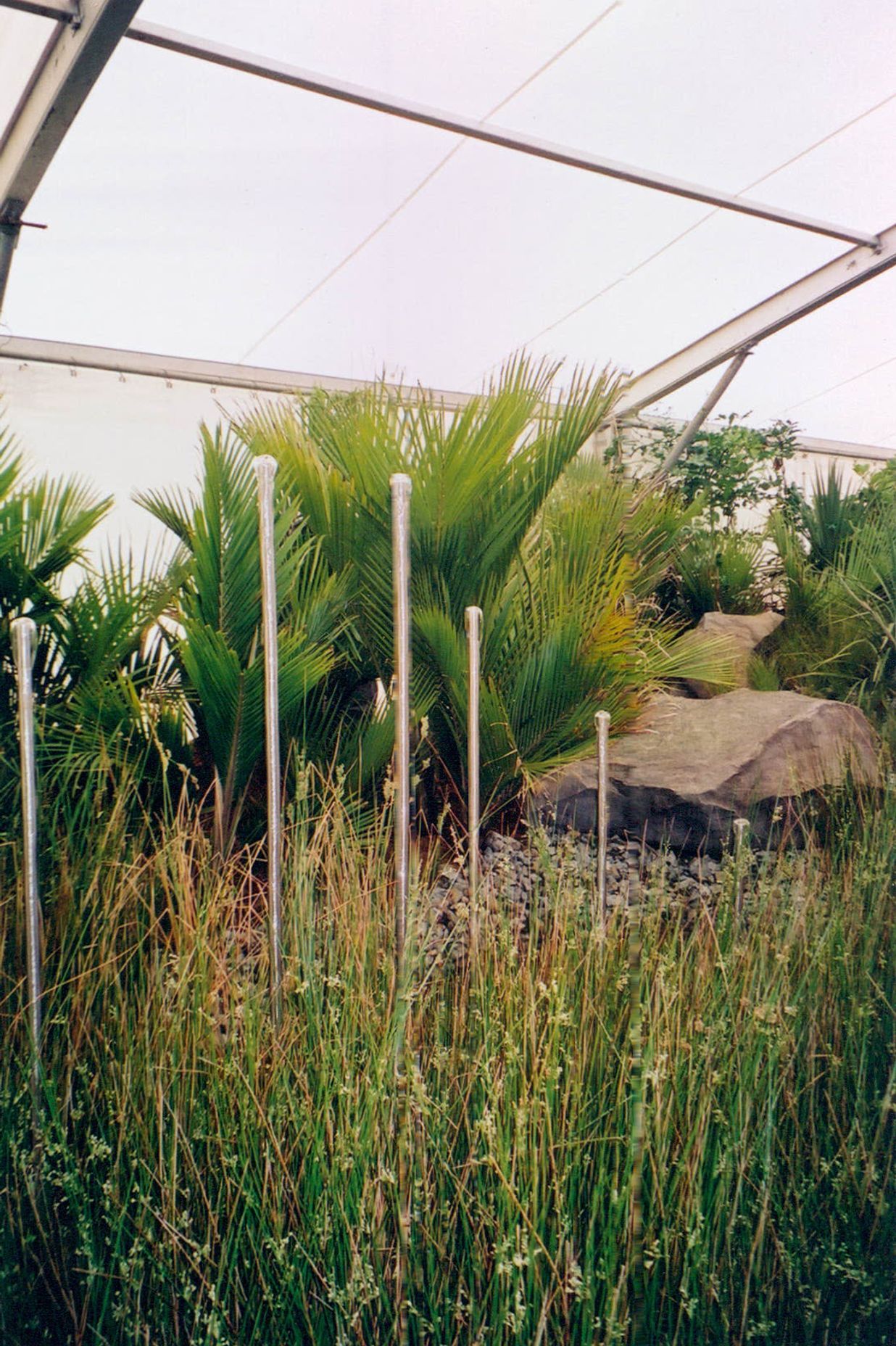 Ellerslie Flower Show