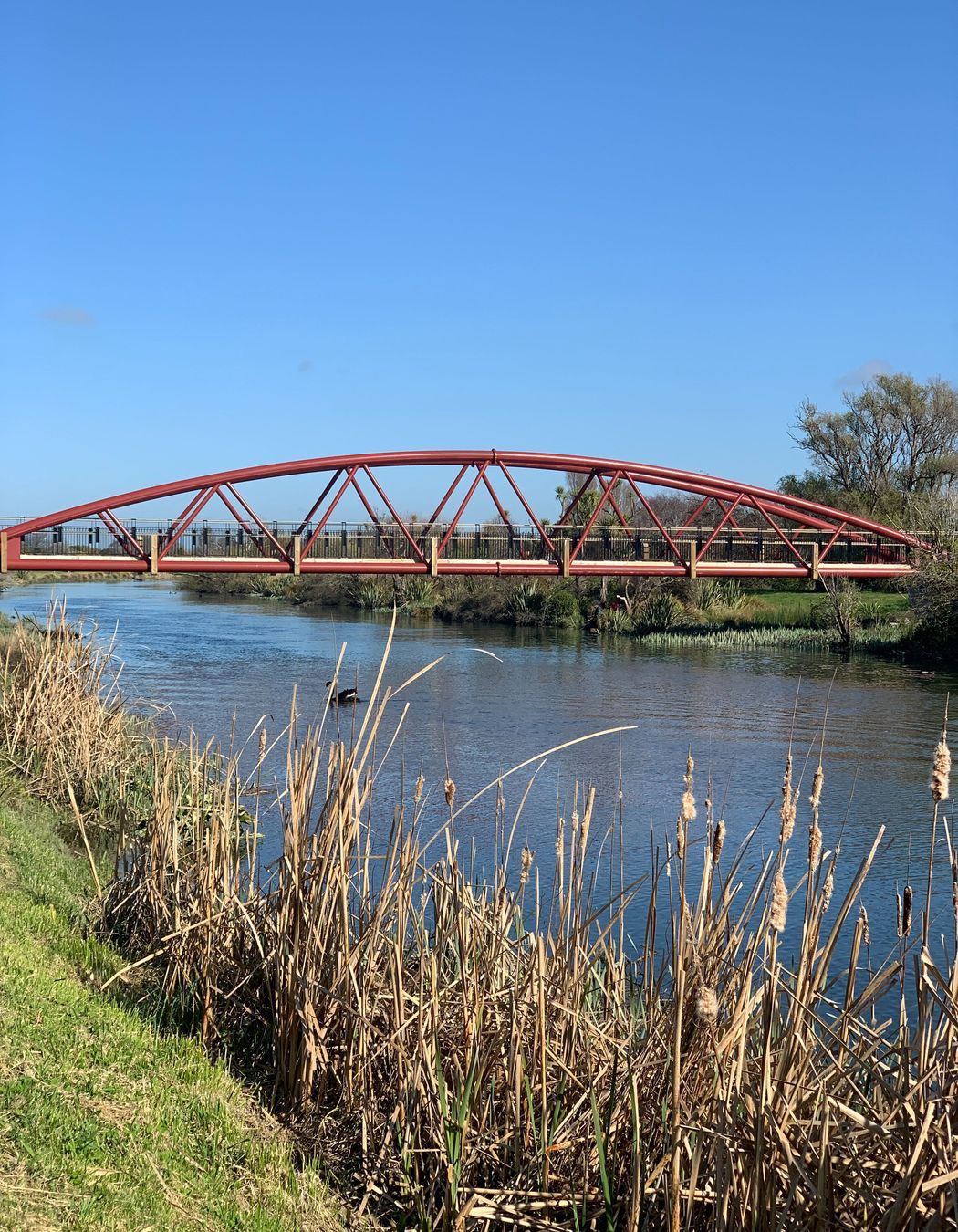 Avondale Bridge, Christchurch