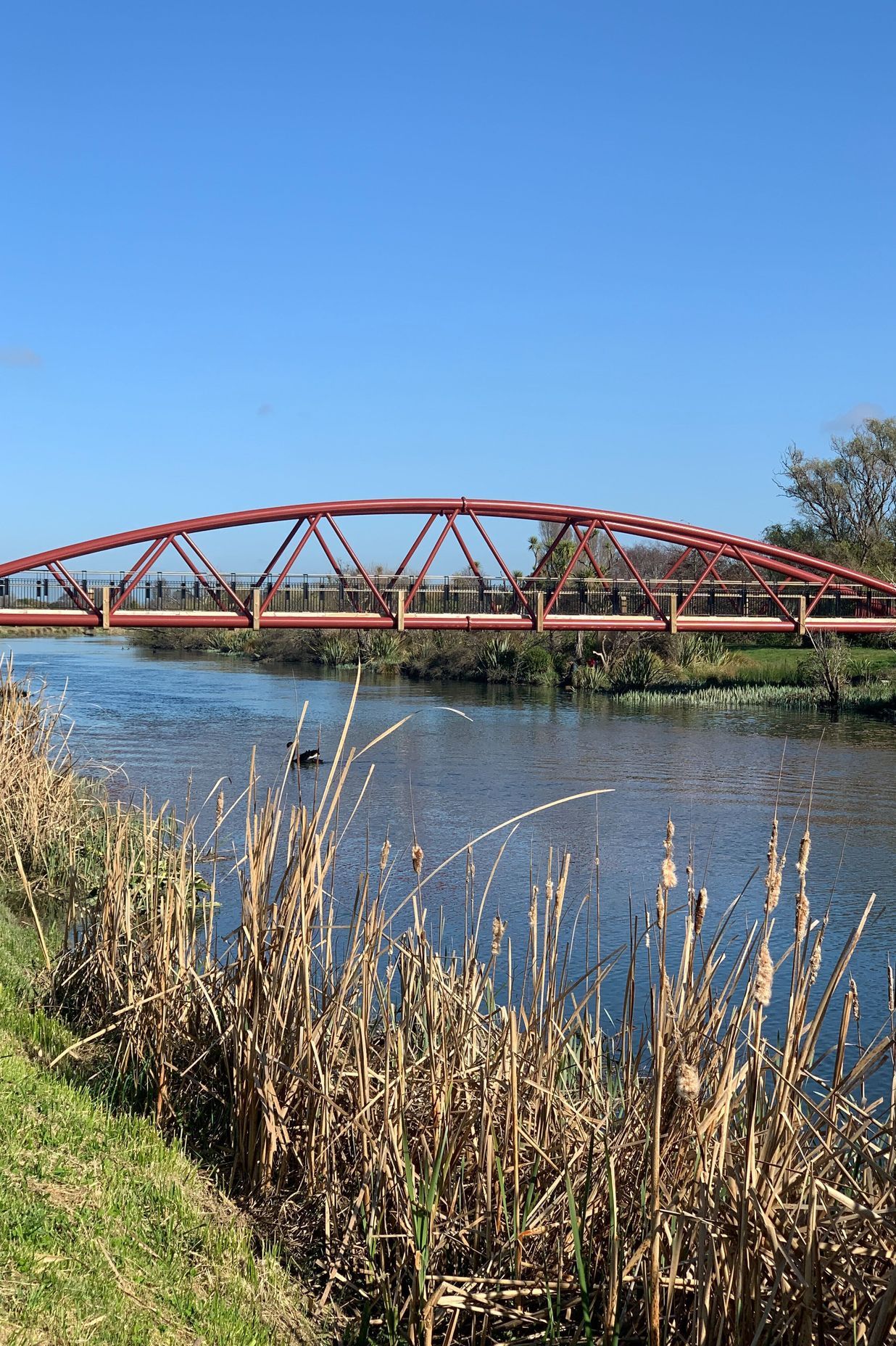 Avondale Bridge, Christchurch