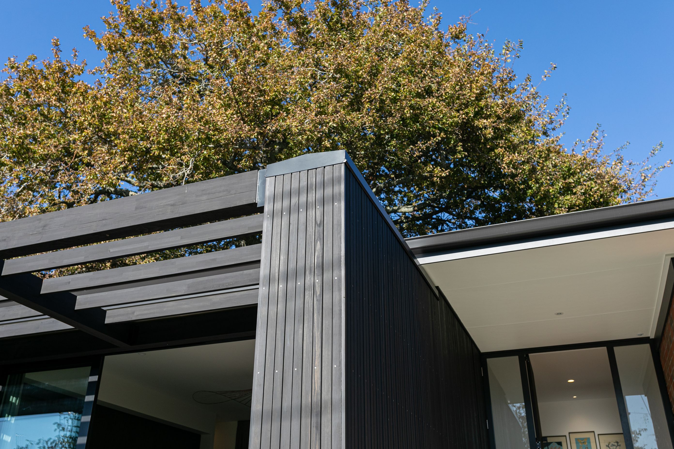 The 60sqm extension features dark vertical cedar cladding.